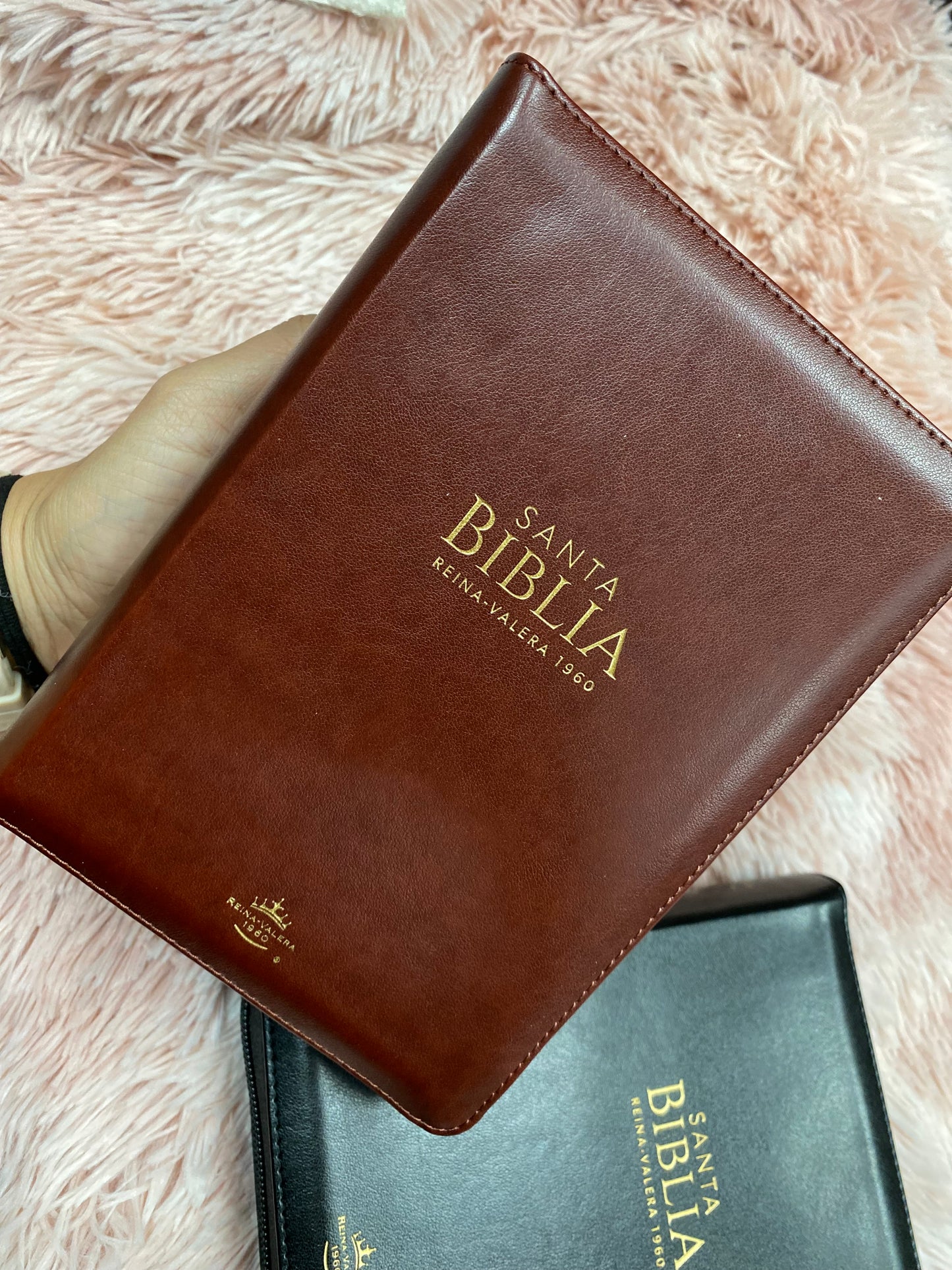 Biblia pequeña letra grande de 11 puntos con cierre y canto dorado versión RV1960 con concordancia