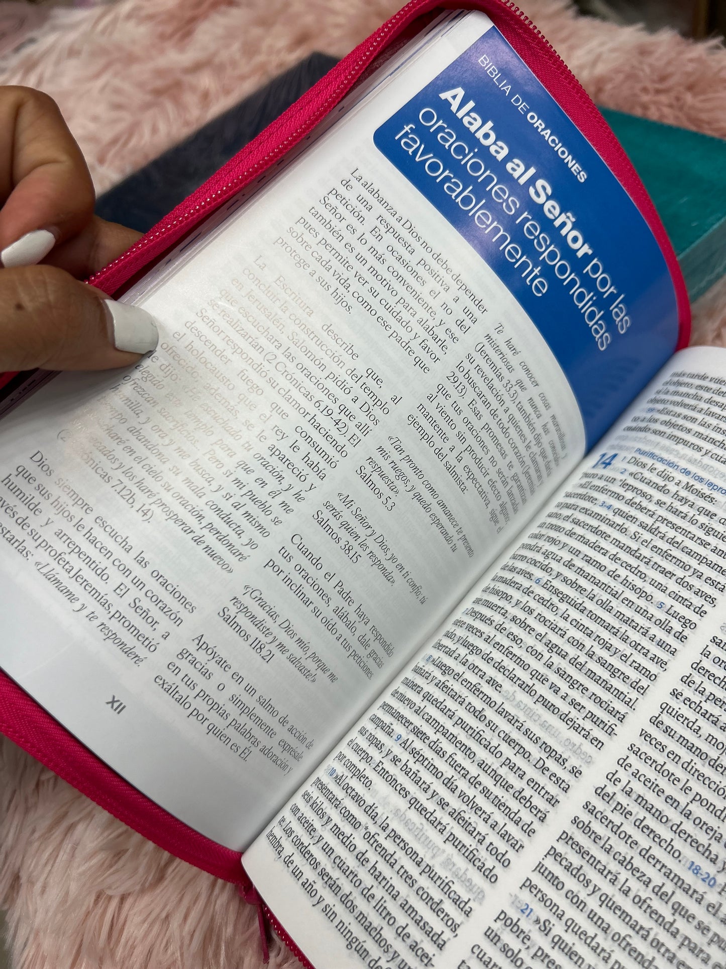 Biblia de oraciones turquesa en versión TLA con cierre y letra grande