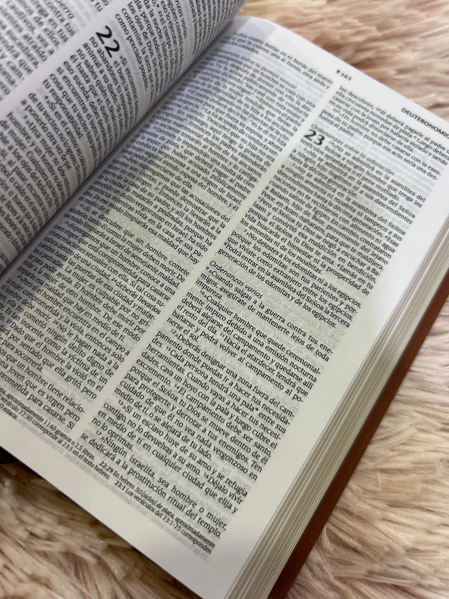 Biblia tamaño compacto de letra mediana semi piel con canto dorado versión NTV marrón