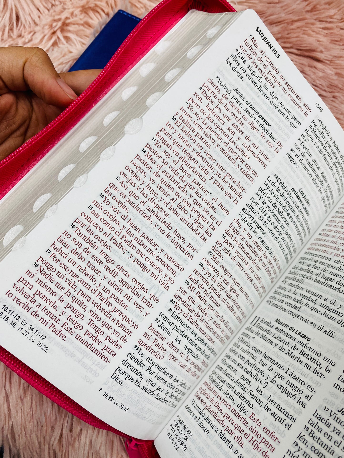 Biblia letra grande 12 puntos con índice cierre y canto dorado versión RV1960