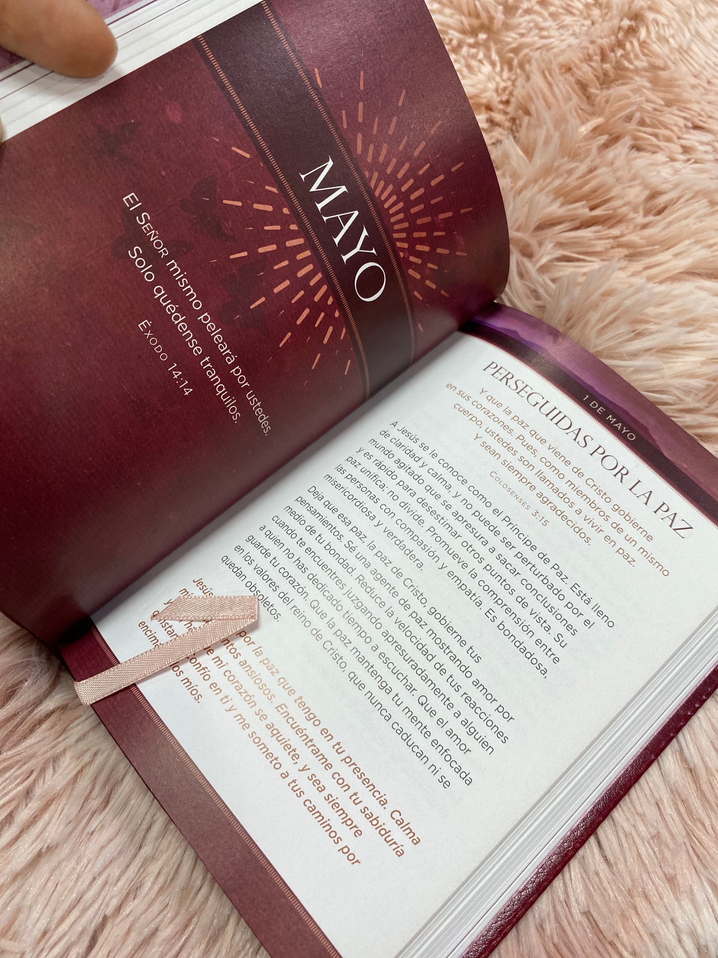 Libro devocional Jesús primero para mujeres