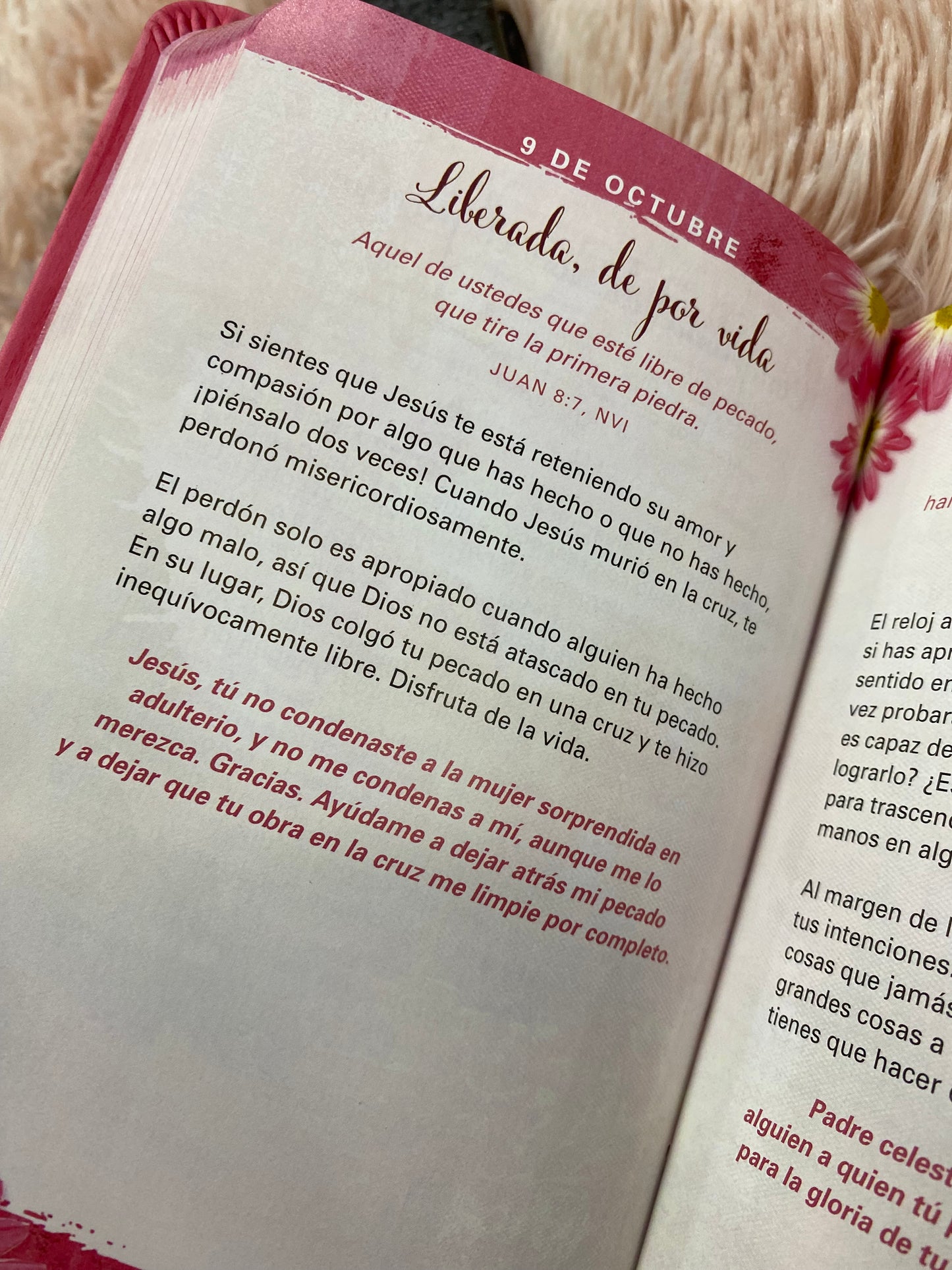 Libro devocional: señor soy yo de nuevo