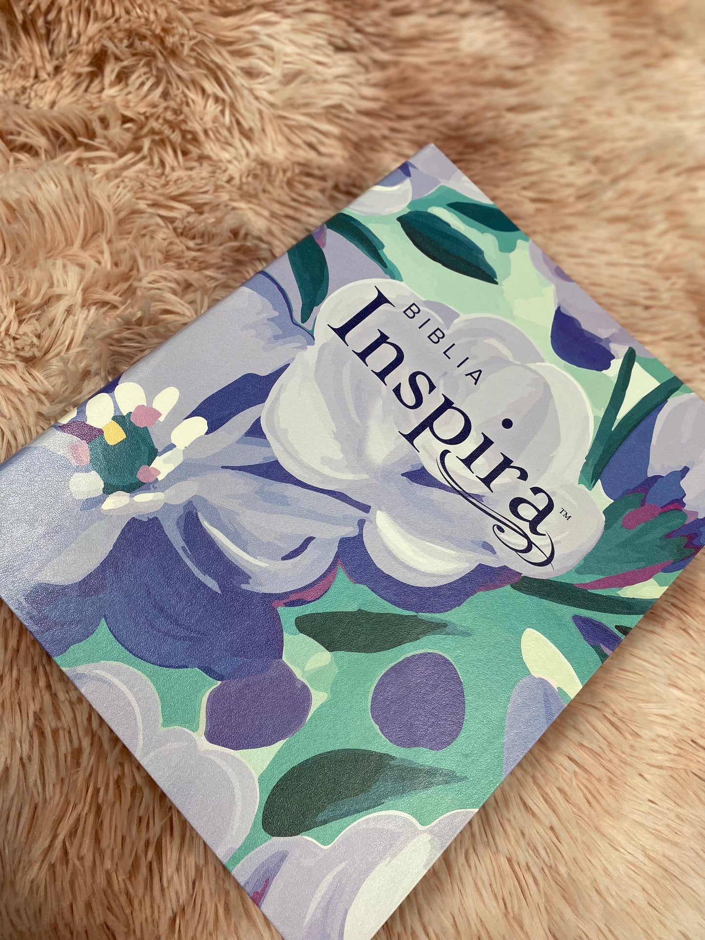 Biblia inspira artística versión NTV de letra grande