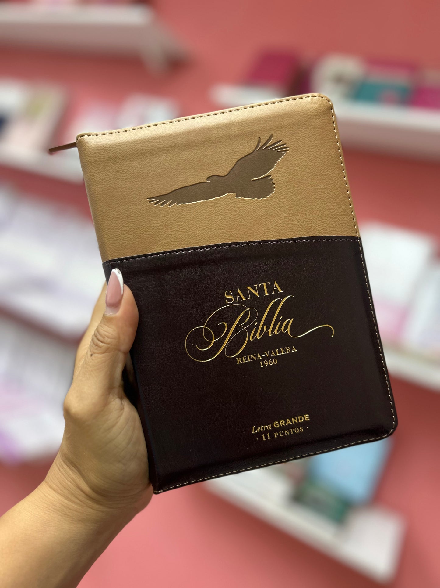 Biblia letra grande 11 puntos con cierre e índice versión RV1960 canto dorado palabras de Jesús en rojo beige y marrón águila