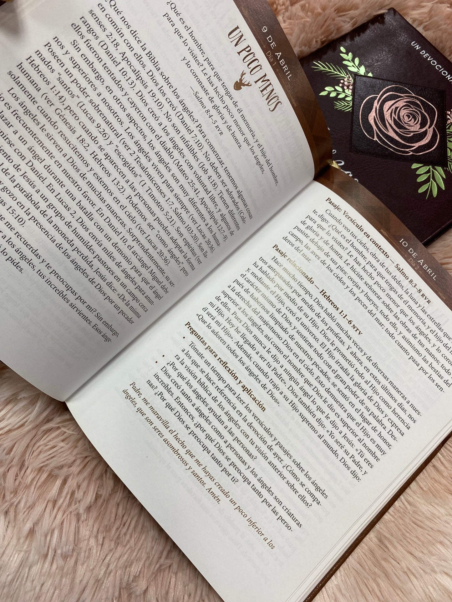 Libro devocional: fuerzas para cada día para el hombre