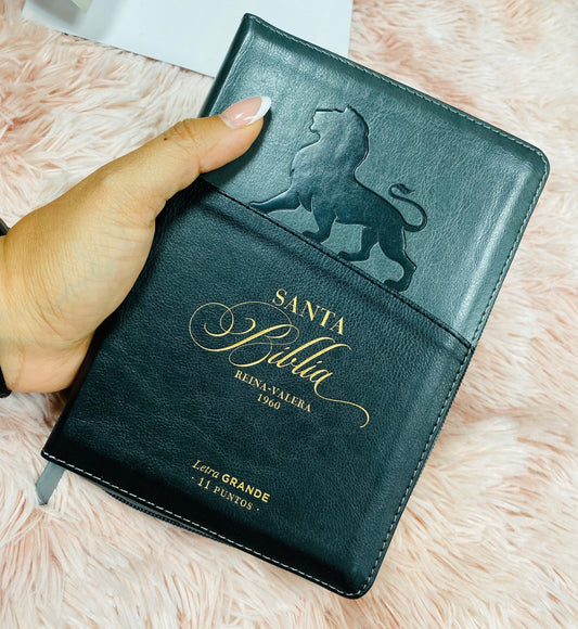 Biblia mediana de letra grande 11 puntos con cierre e índice versión RV1960 canto dorado palabras de Jesús en rojo y concordancia