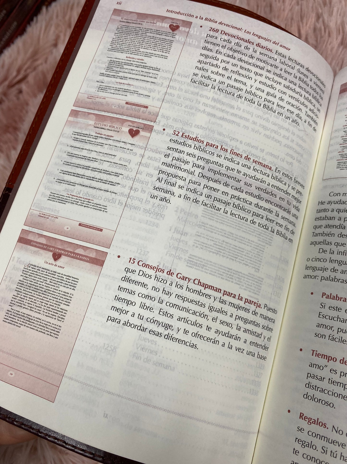 Biblia devocional los lenguajes del amor de Gary Chapman versión RV1960