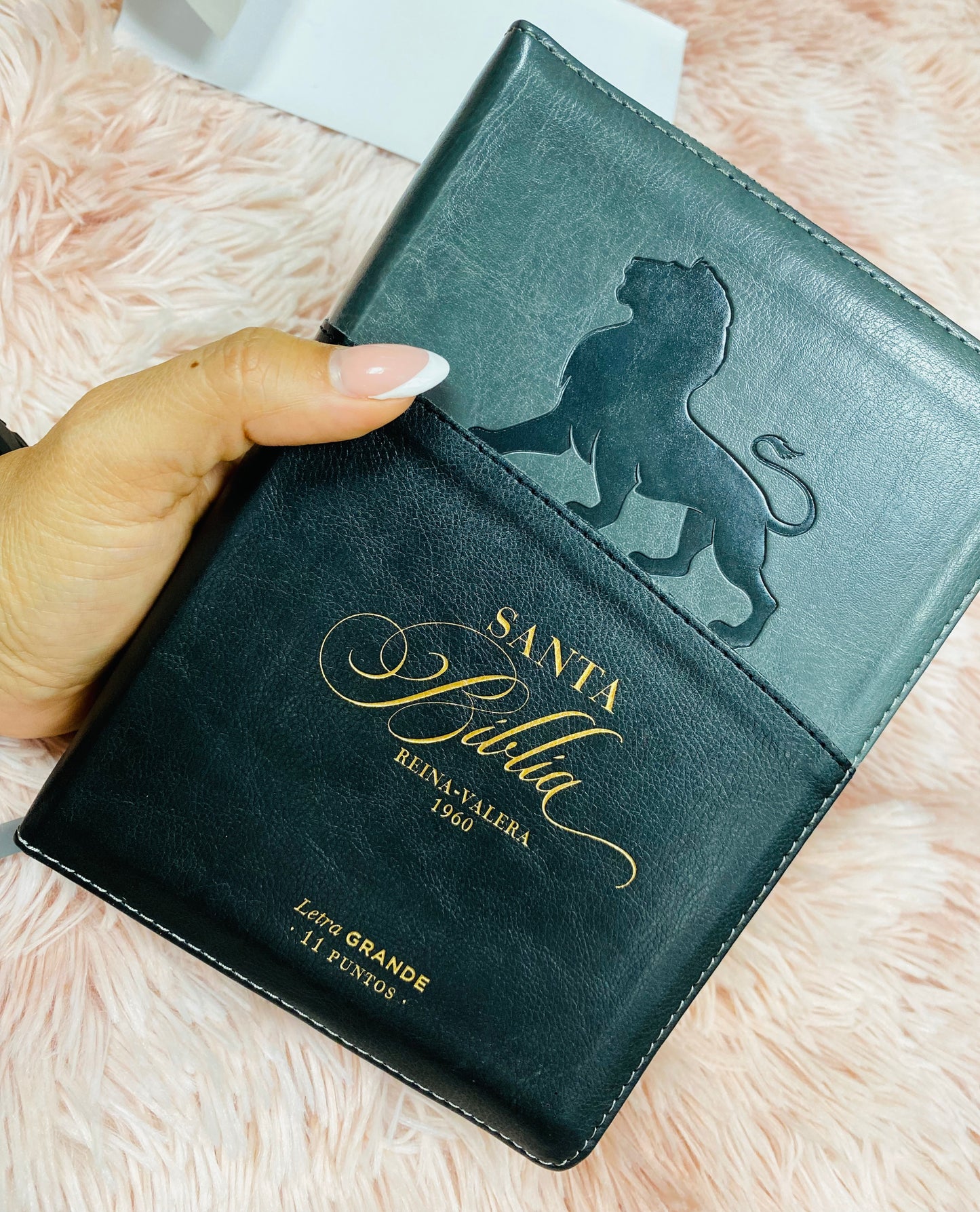 Biblia mediana de letra grande 11 puntos con cierre e índice versión RV1960 canto dorado palabras de Jesús en rojo y concordancia