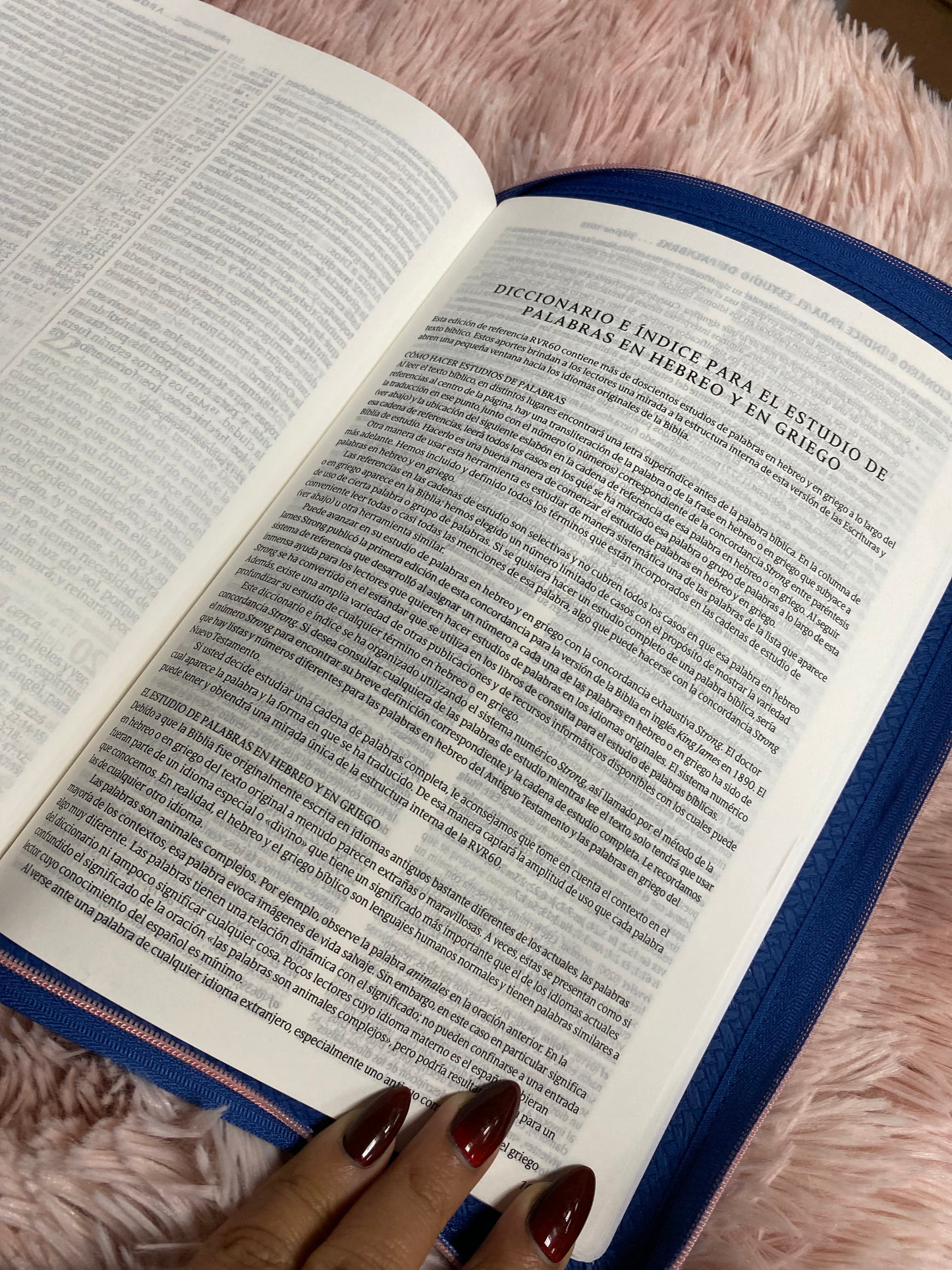 Biblia con cierre letra grande ultrafina palabras de Jesús en rojo versión RV1960