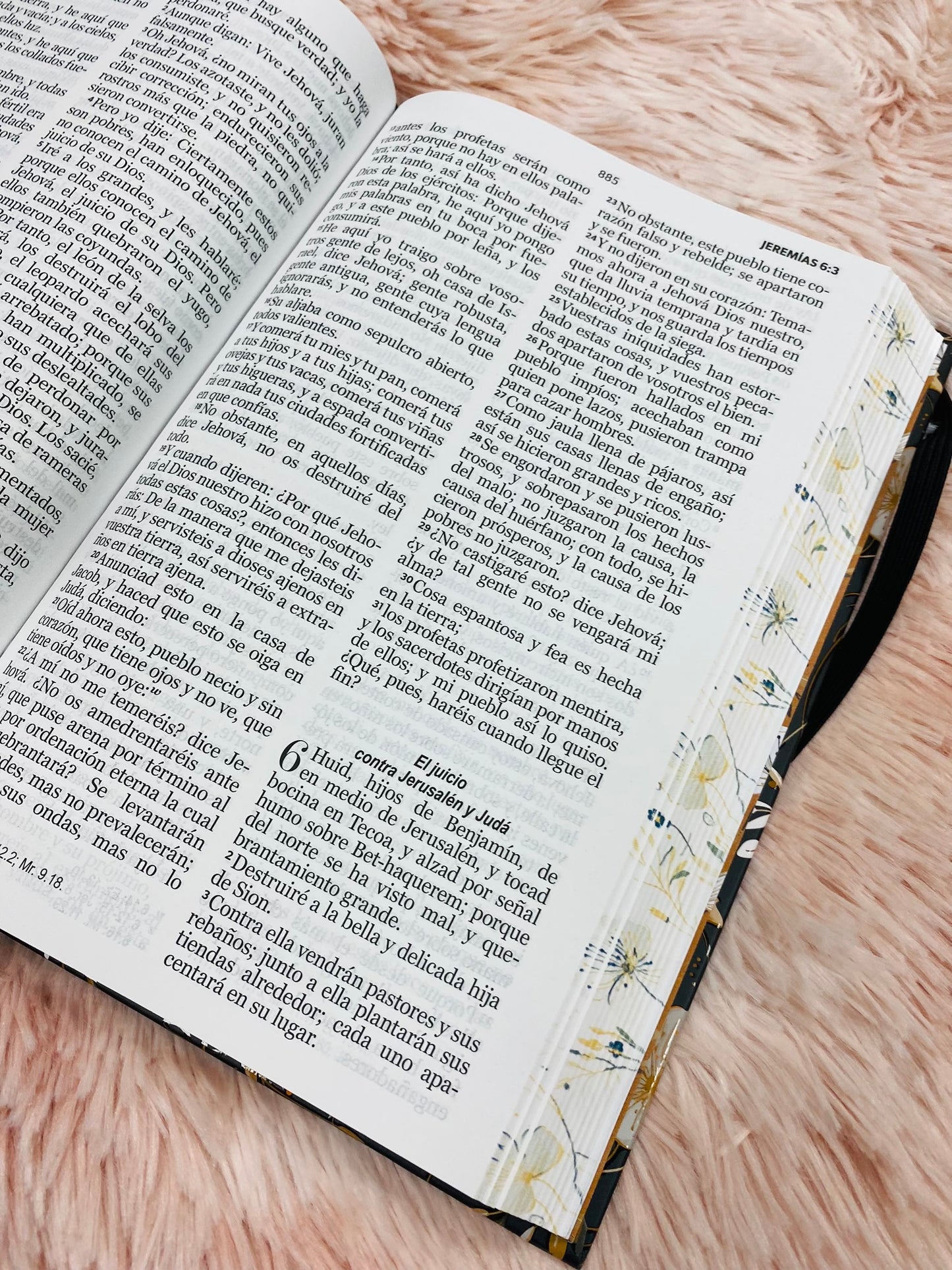 Biblia versión RV1960 de tapa dura diseño en relieve de letra grande 12 puntos con canto pintado, liga, palabras de Jesús en rojo con concordancia