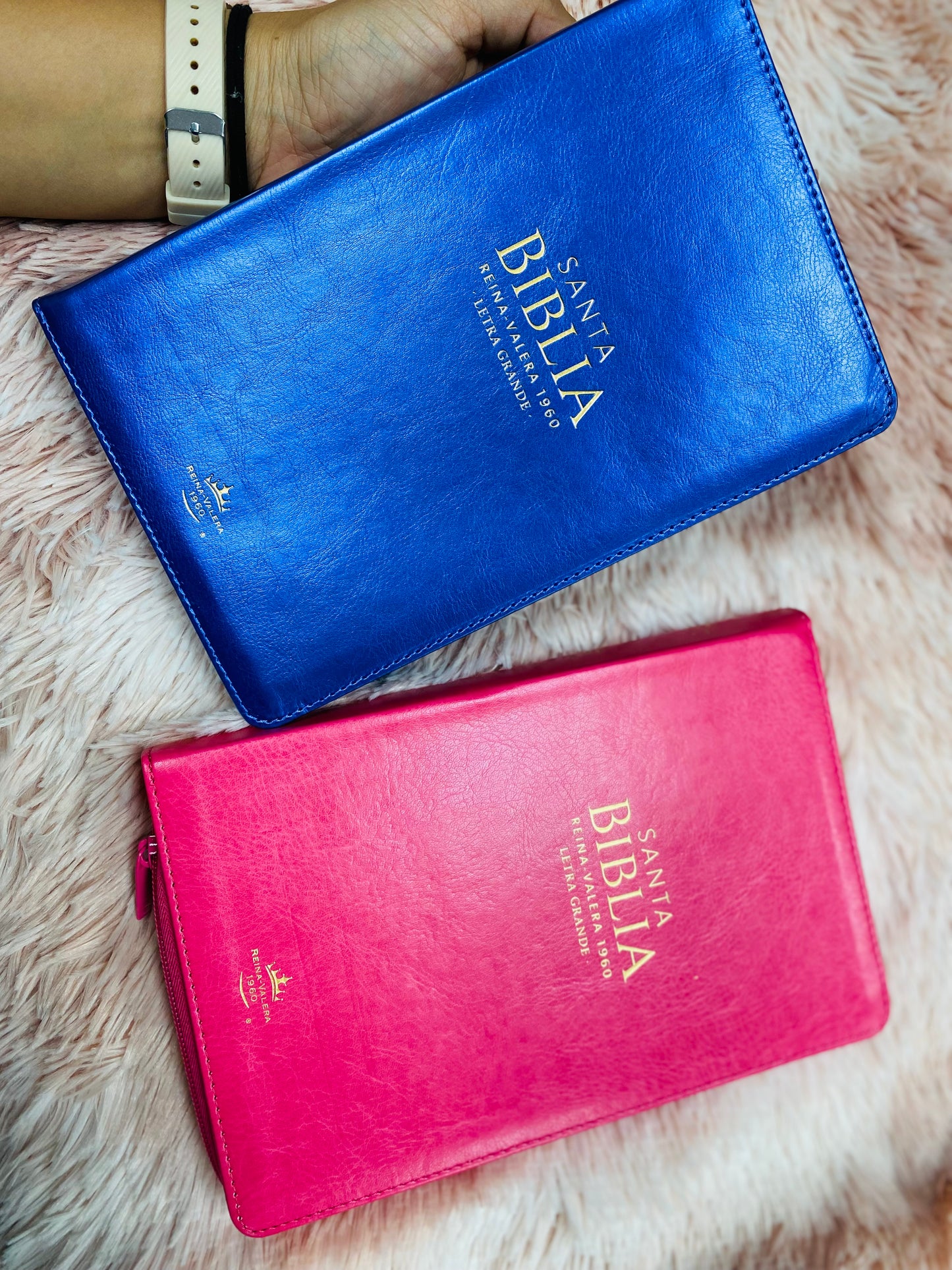 Biblia letra grande 12 puntos con índice cierre y canto dorado versión RV1960