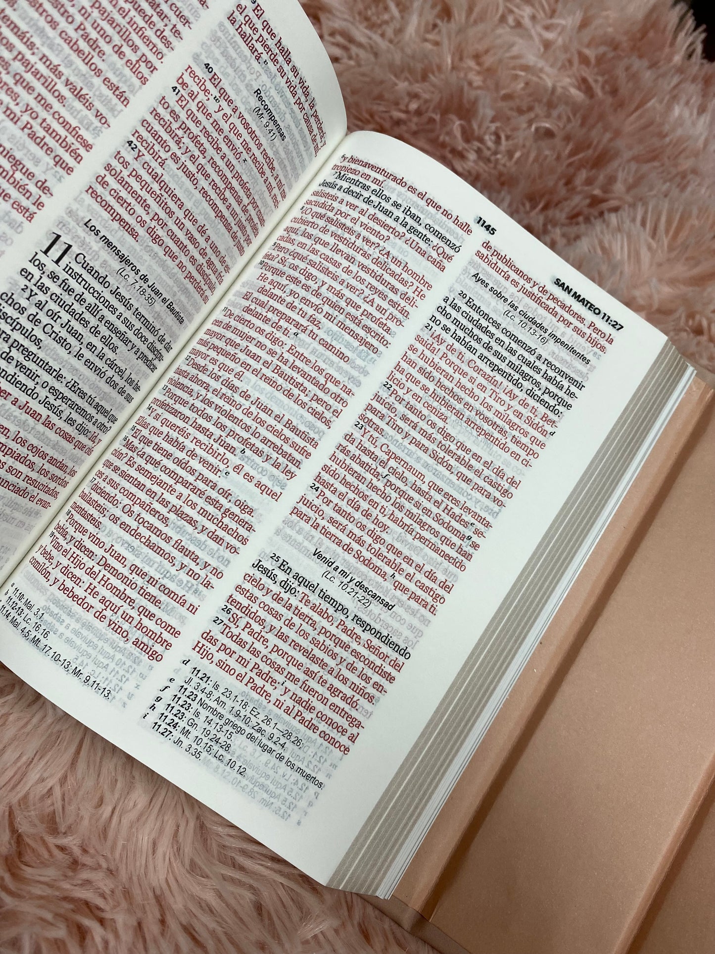 Biblia tipo cartera de canto dorado mediana de letras grandes 10 puntos versión RV1960 en imitación piel