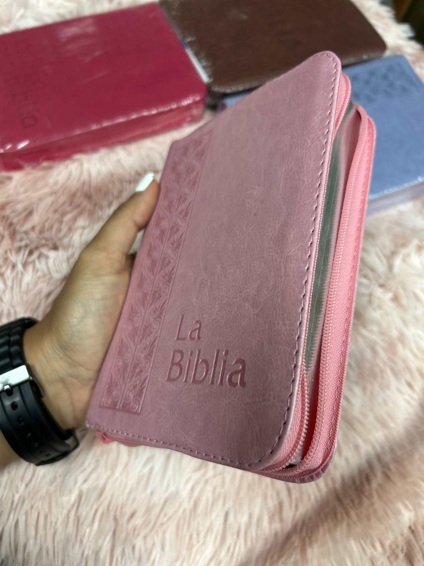 Biblia mediana tamaño compacta con cierre versión TLA letras grandes canto pintado
