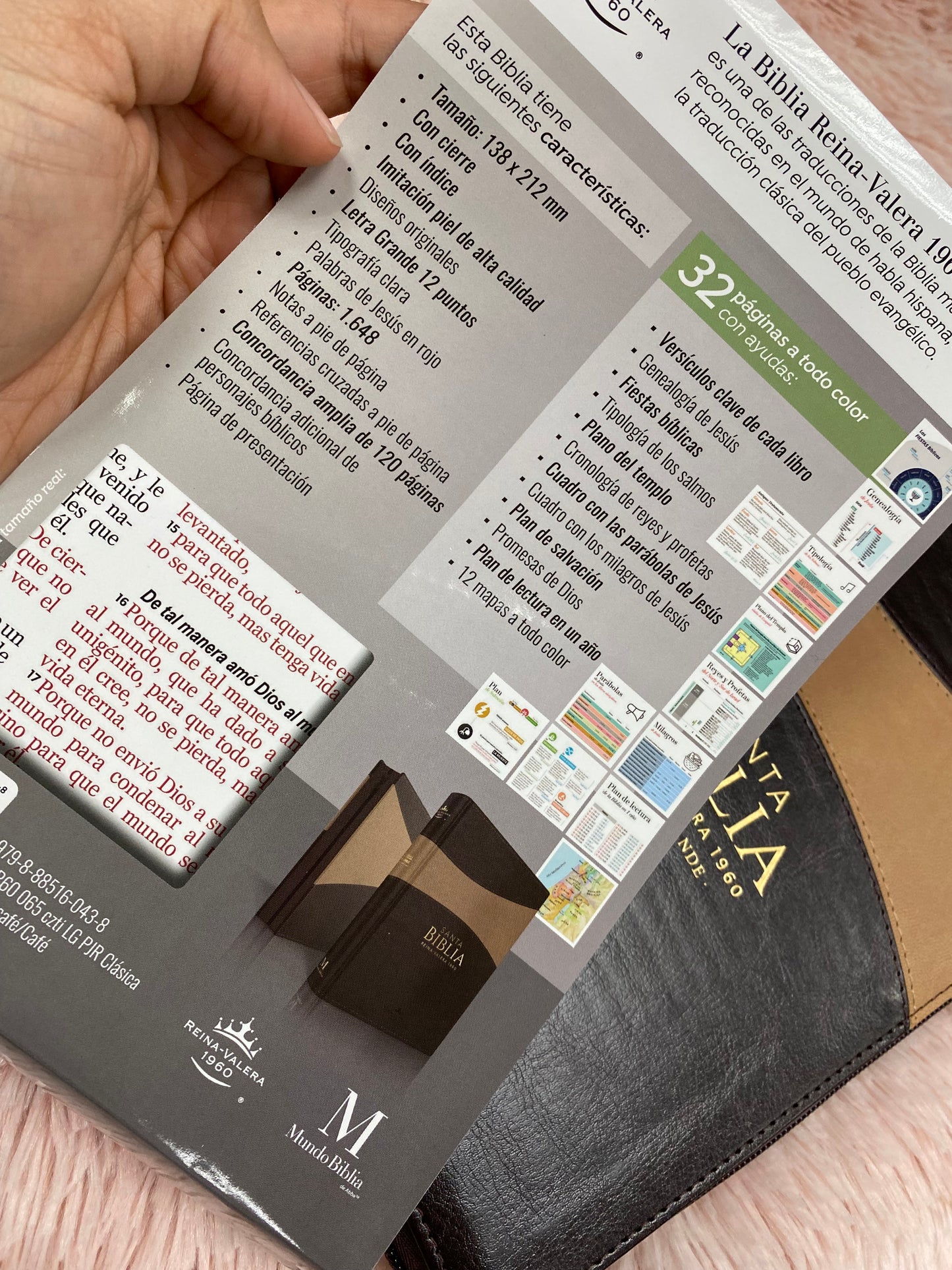 Biblia de letra grande 12 puntos de versión RV1960 con índice y cierre con concordancia en símil piel