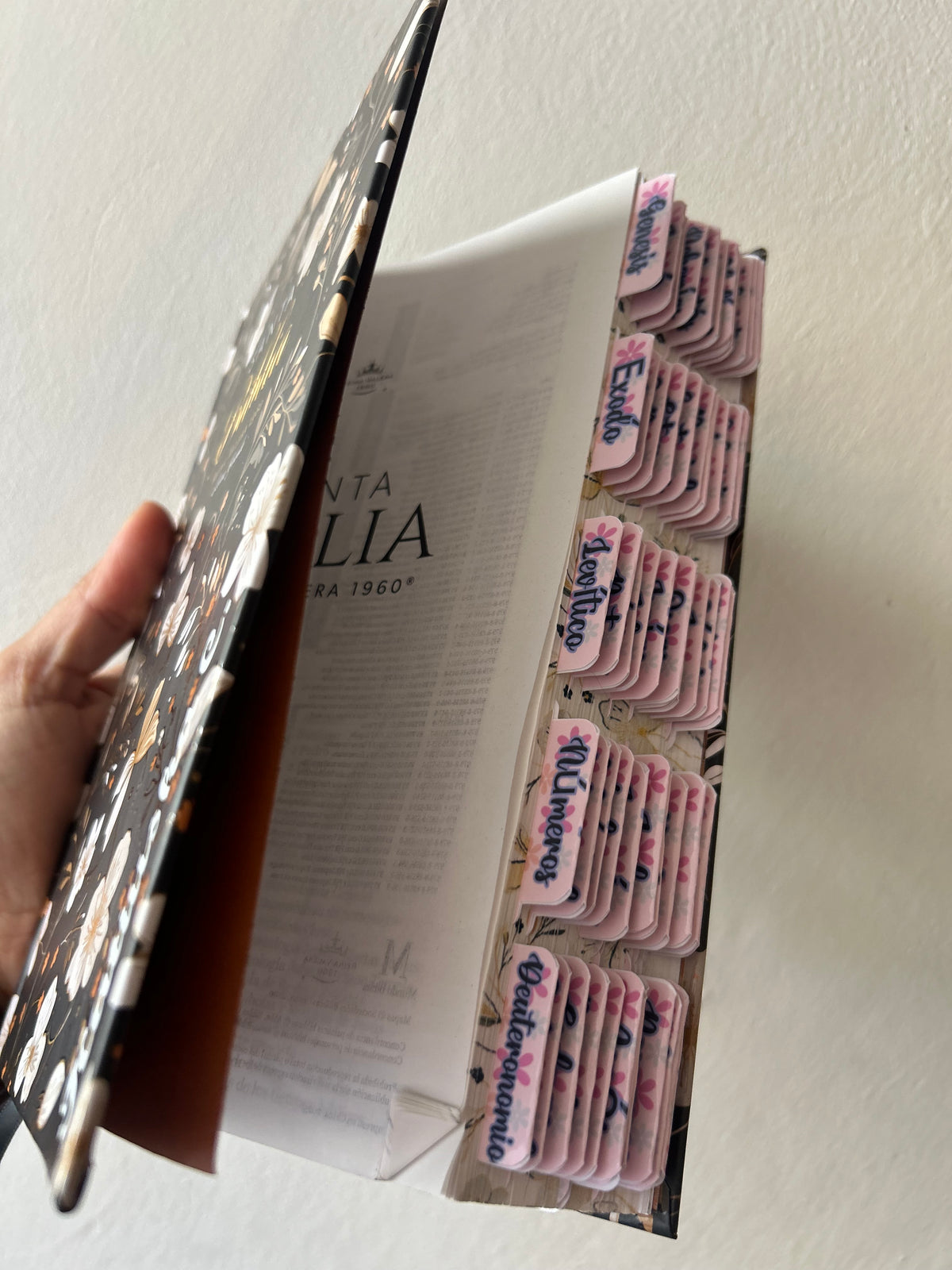 Biblia RV1960 tapa dura letra grande 12 puntos + personalizado