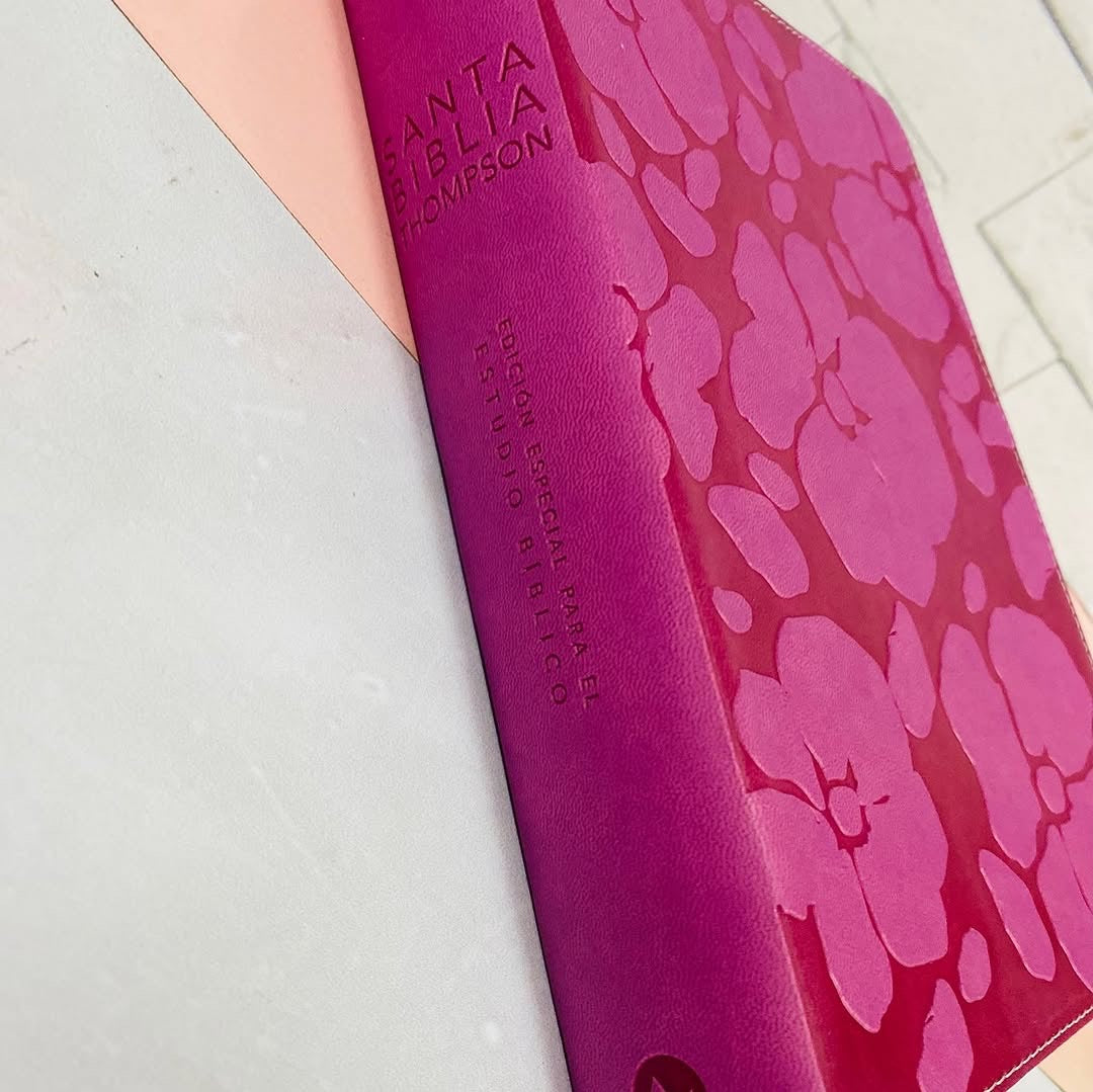 Biblia de estudio Thompson edición especial símil piel y canto plateado