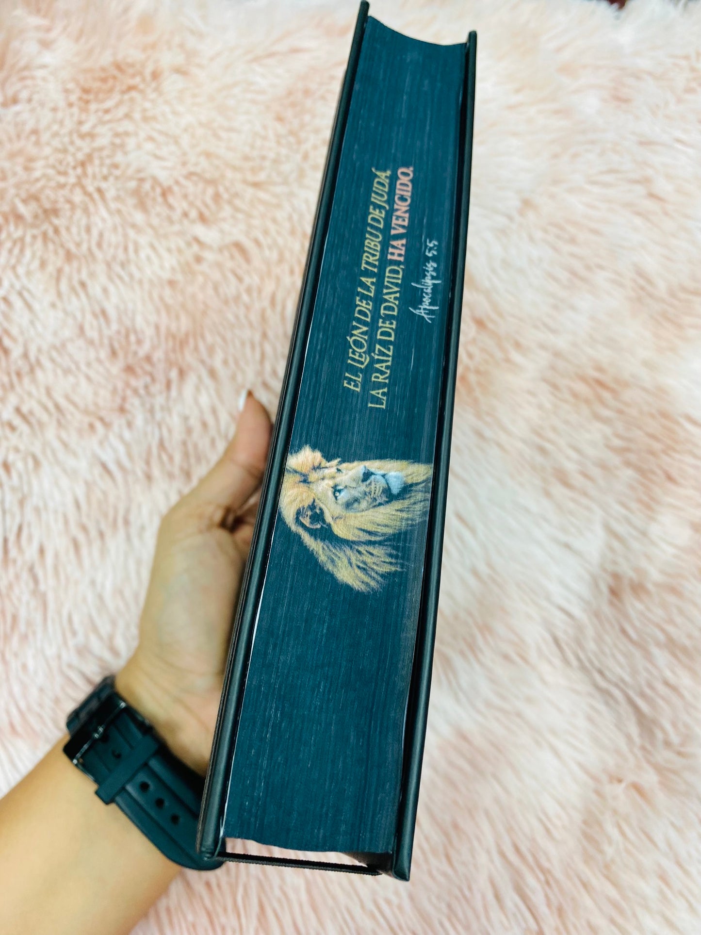 Biblia versión RV1960 de tapa dura diseño en relieve de letra grande 12 puntos con canto pintado, liga, palabras de Jesús en rojo con concordancia