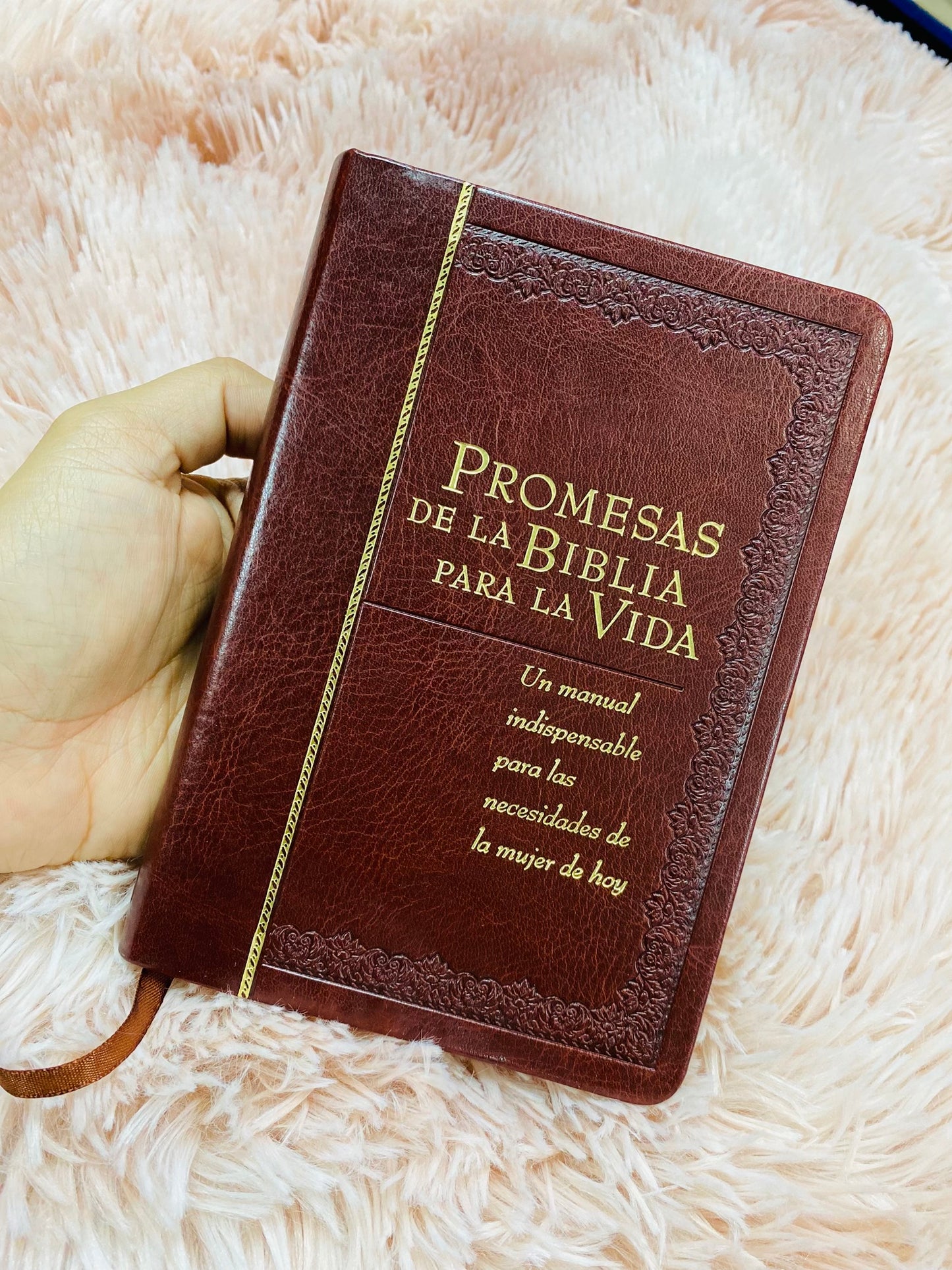 Libro devocional: promesas de la biblia para la vida