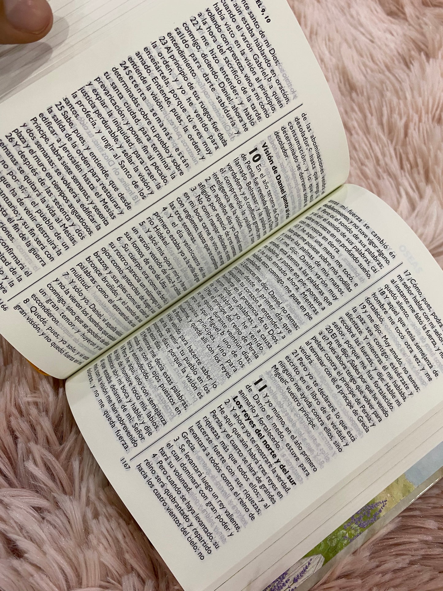 Biblia tamaño bolsillo ilustrada para niños versión RV1960