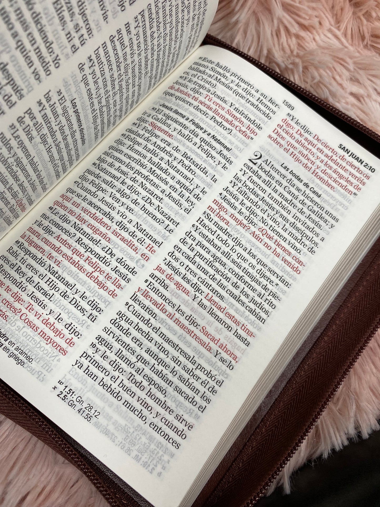 Biblia pequeña letra grande de 11 puntos con cierre y canto dorado versión RV1960 con concordancia