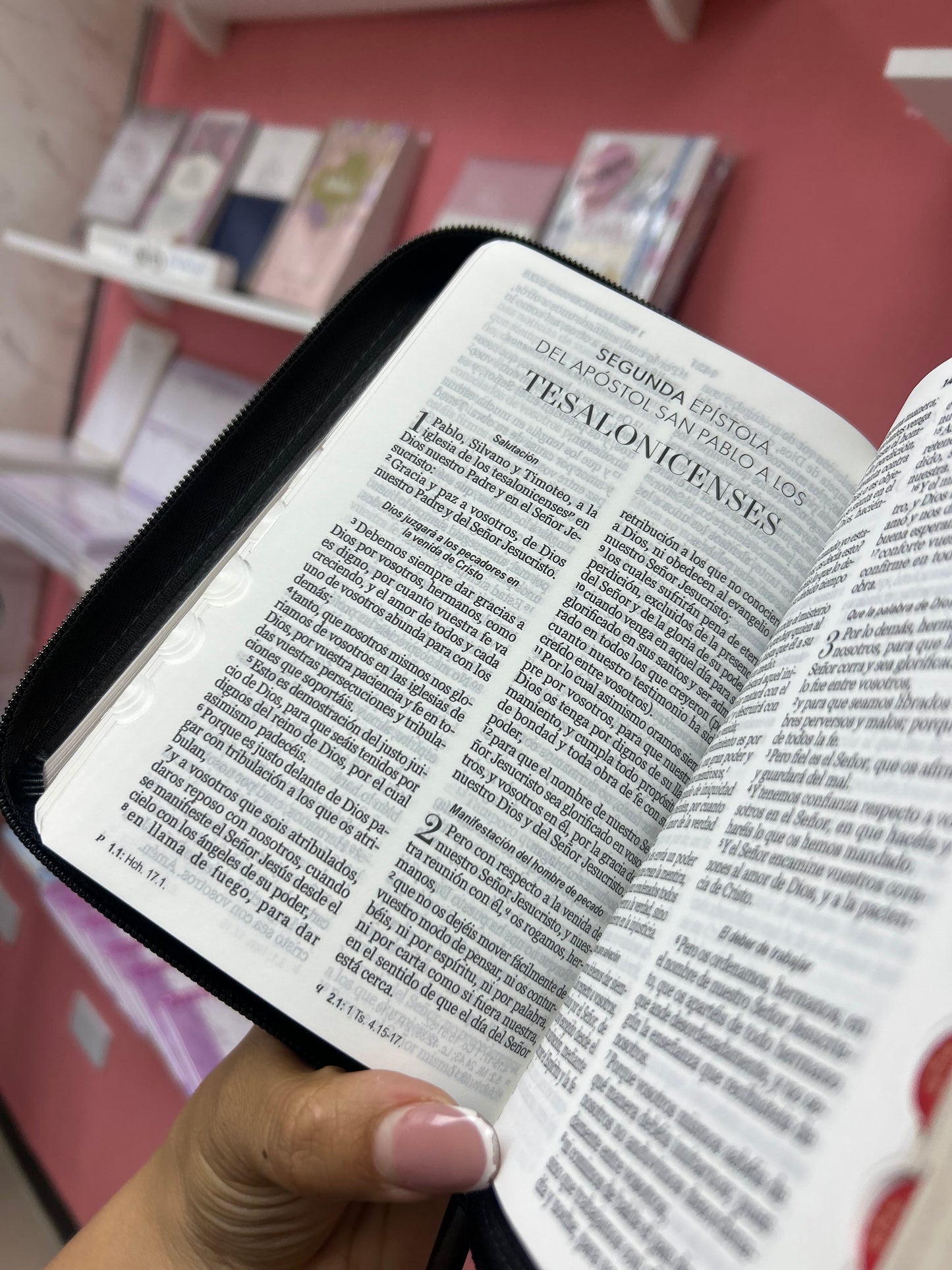 Biblia letra grande 10 puntos con cierre e índice canto pintado palabras de Jesús y concordancia en rojo versión RV1960 león de Juda