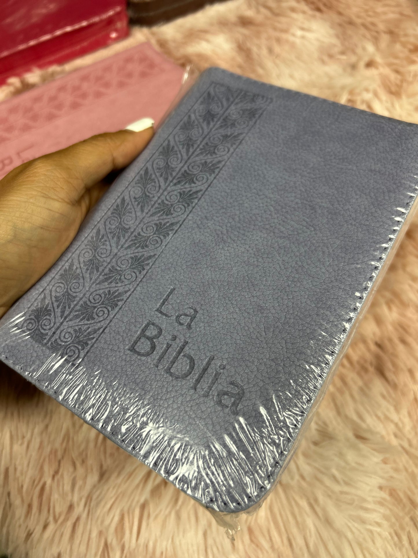 Biblia mediana tamaño compacta con cierre versión TLA letras grandes canto pintado