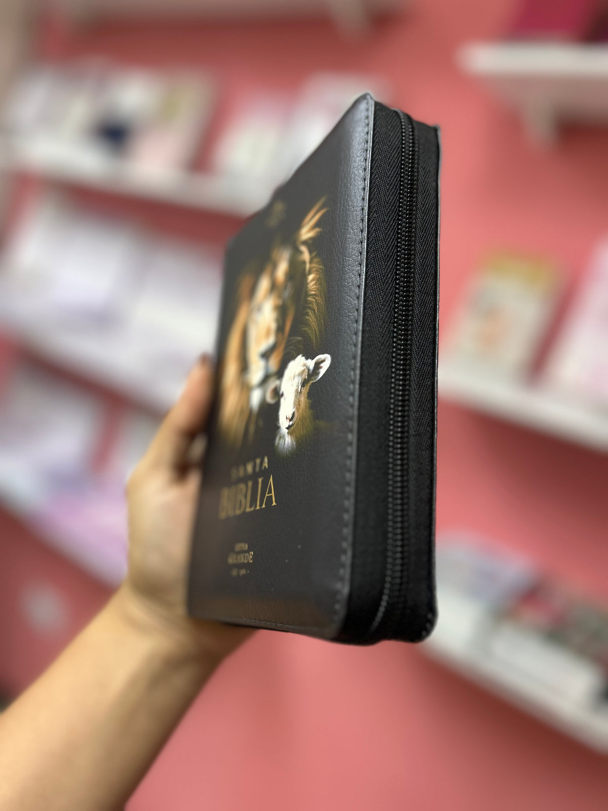 Biblia letra grande 10 puntos con cierre e índice canto pintado palabras de Jesús y concordancia en rojo versión RV1960 león de Juda