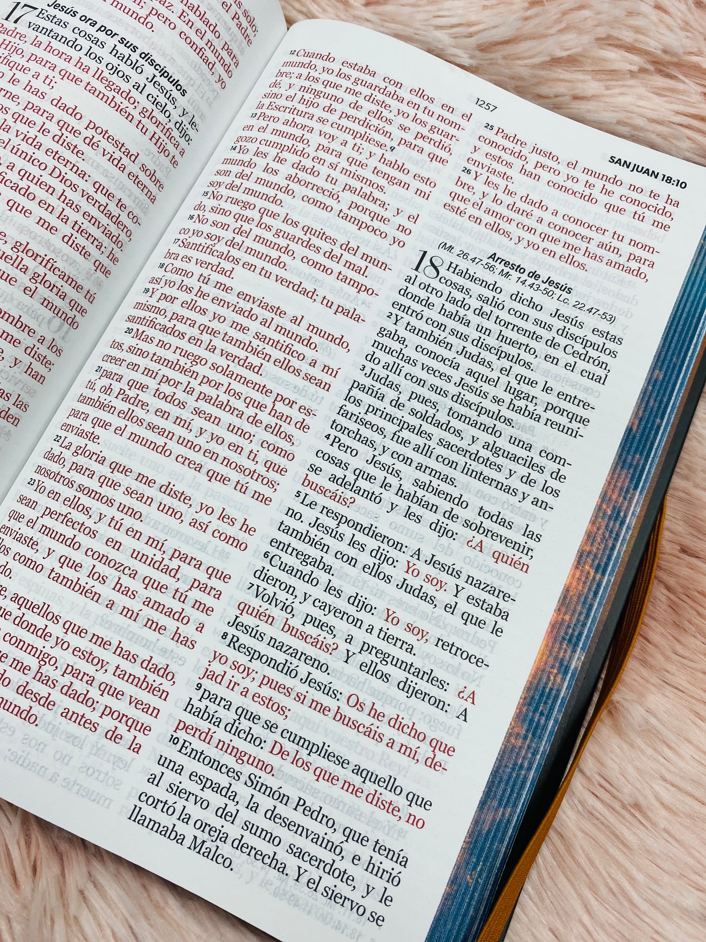 Biblia versión RV1960 de tapa dura diseño en relieve de letra grande 12 puntos con canto pintado, liga, palabras de Jesús en rojo con concordancia