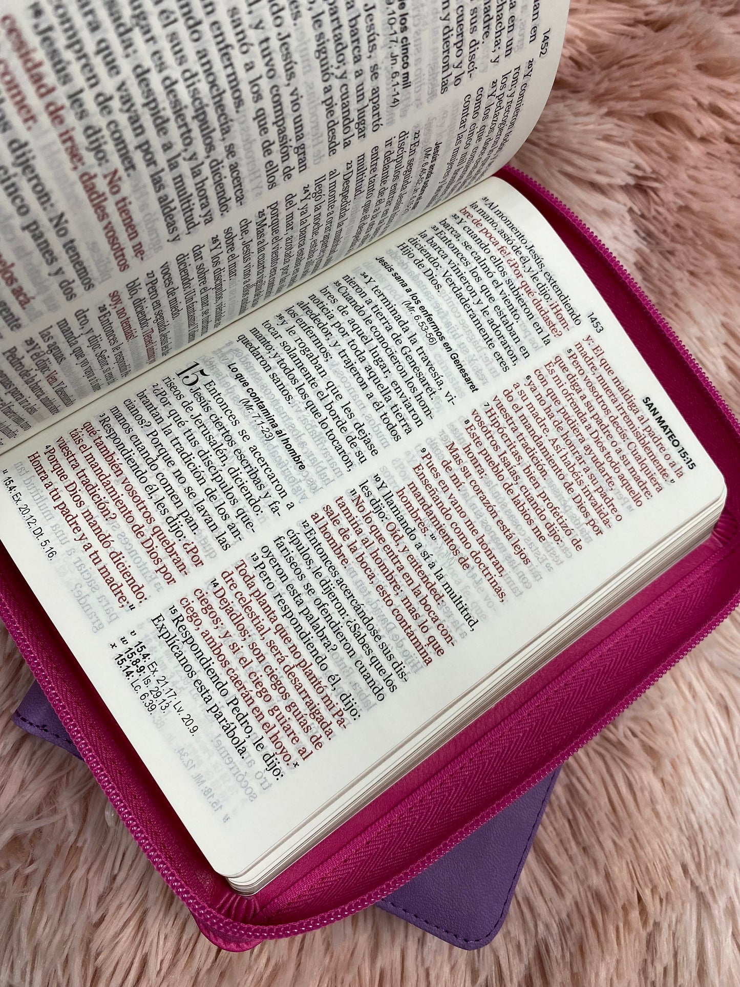 Biblia pequeña letra grande de 11 puntos con cierre y canto dorado versión RV1960 con concordancia