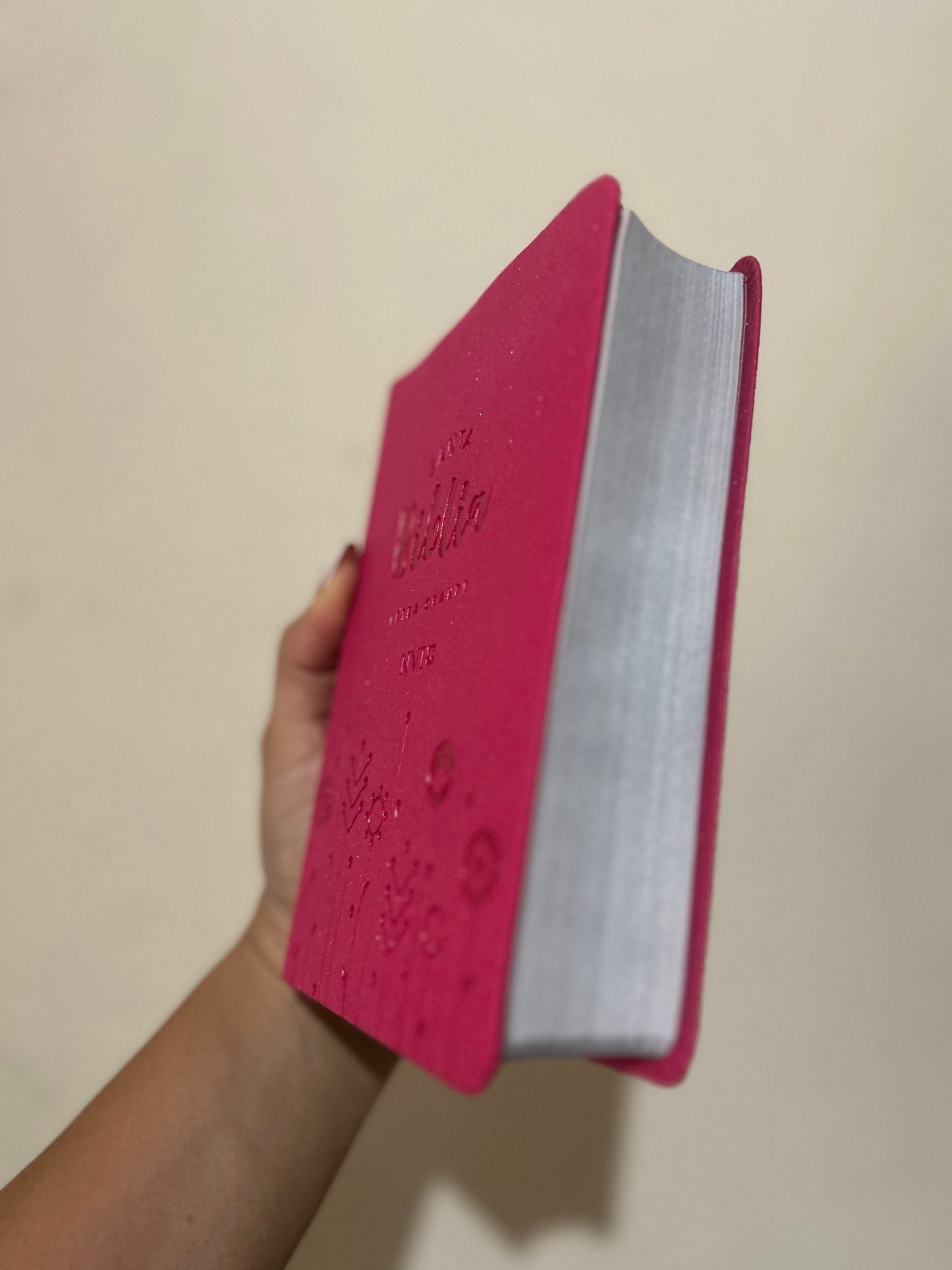 Biblia letra grande tamaño compacto versión NVI canto plateado palabras de Jesús en rojo
