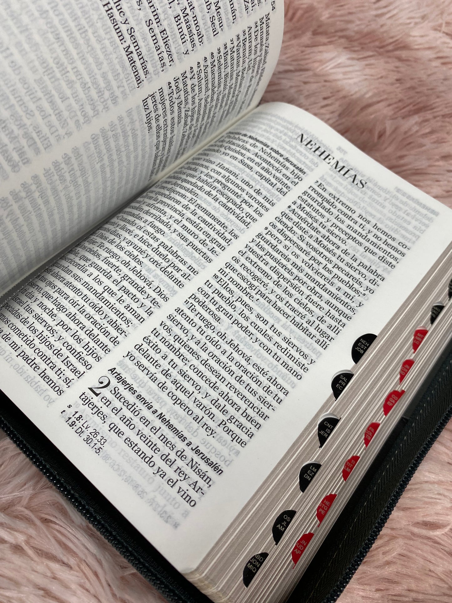 Biblia mediana de letra grande 11 puntos con cierre e índice versión RV1960 canto dorado palabras de Jesús en rojo y concordancia