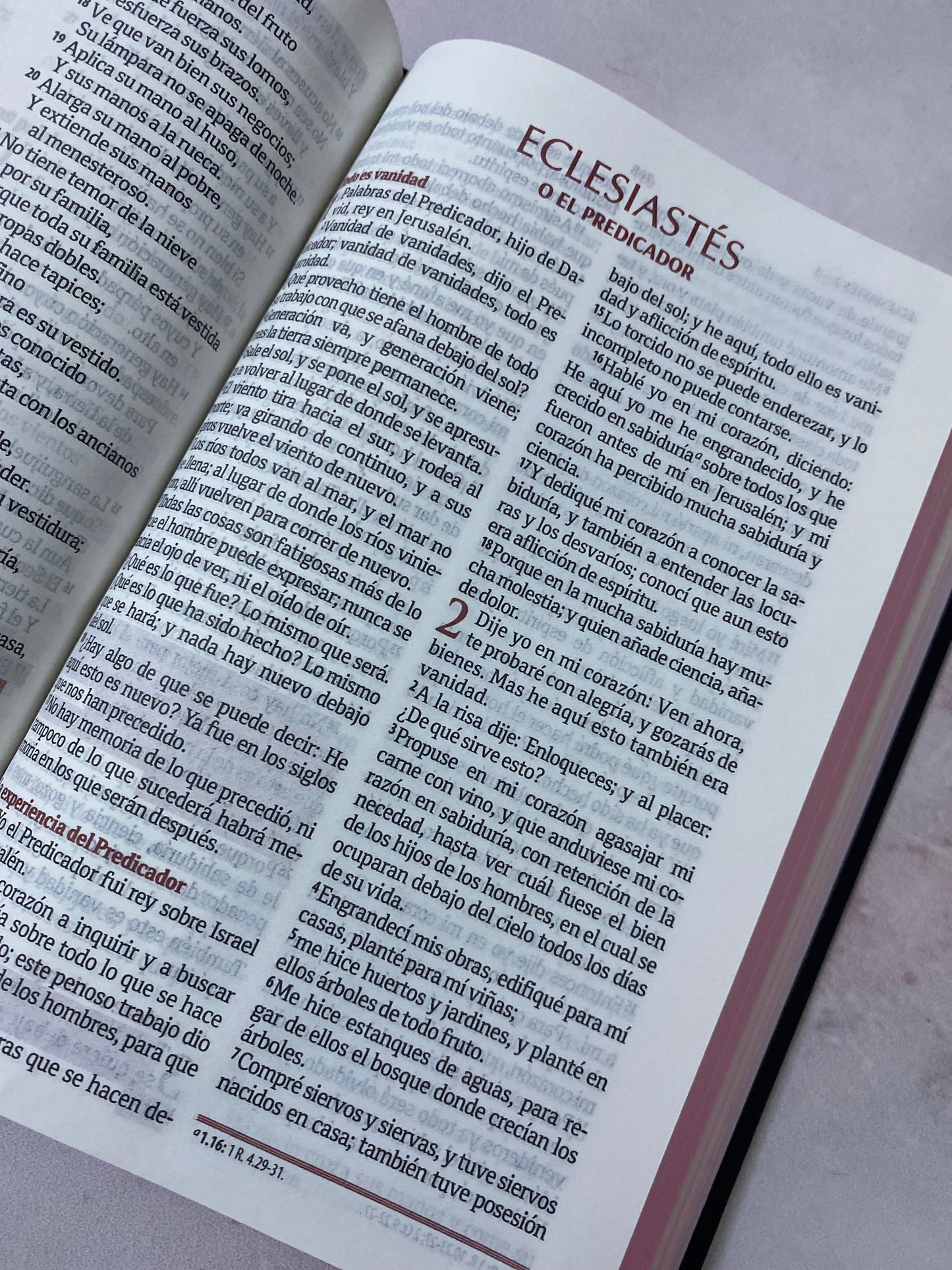 Biblia de promesas tapa dura versión RV1960 letra 8 puntos con concordancia y referencias