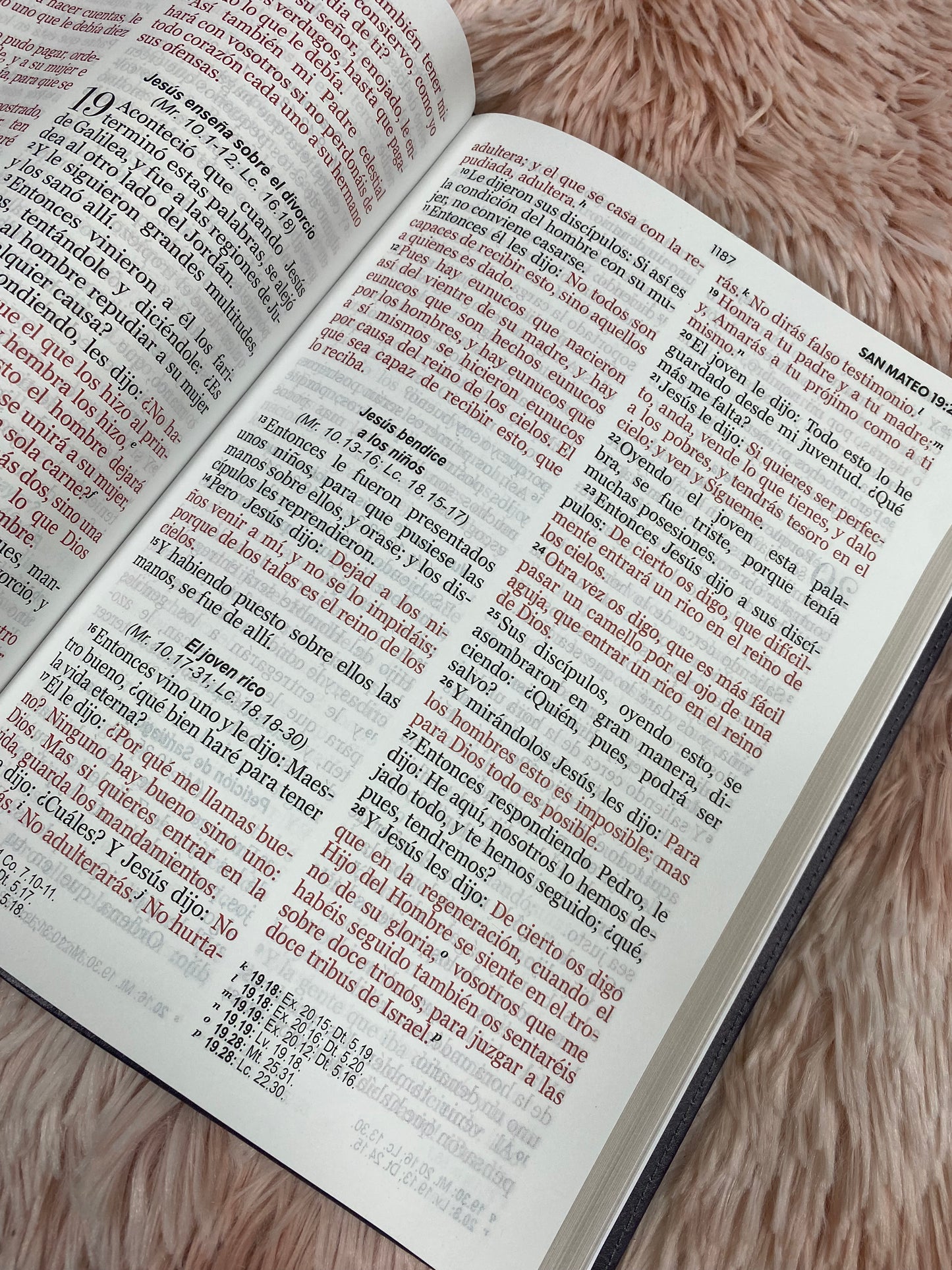 Biblia letra gigante de 15 puntos en tapa flexible con canto dorado versión RV1960