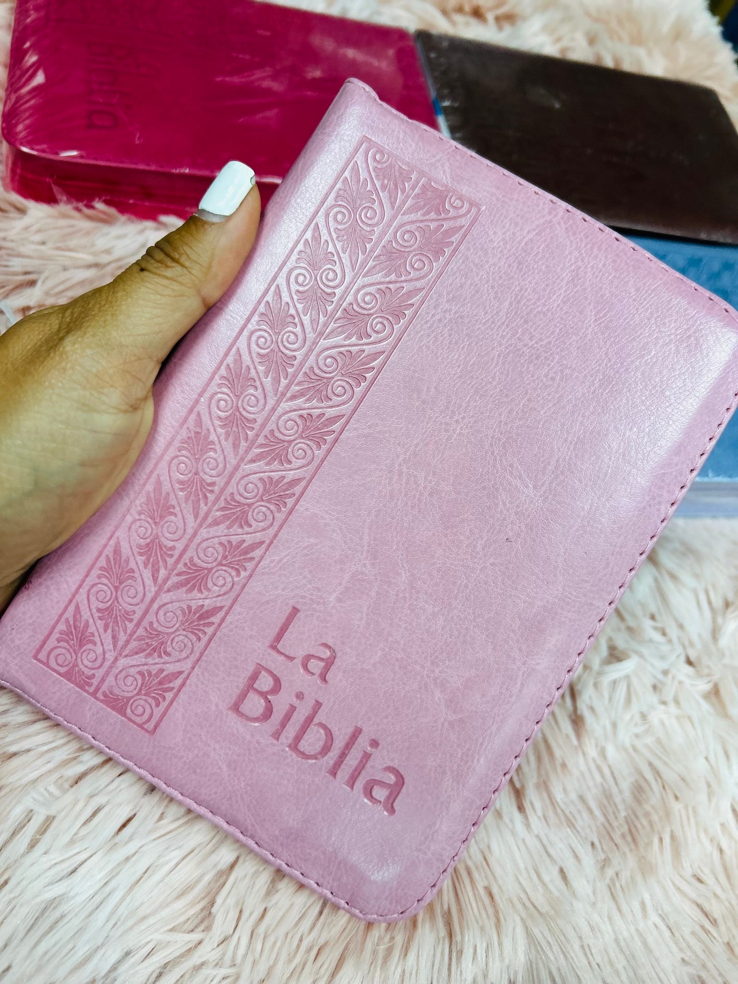 Biblia mediana tamaño compacta con cierre versión TLA letras grandes canto pintado