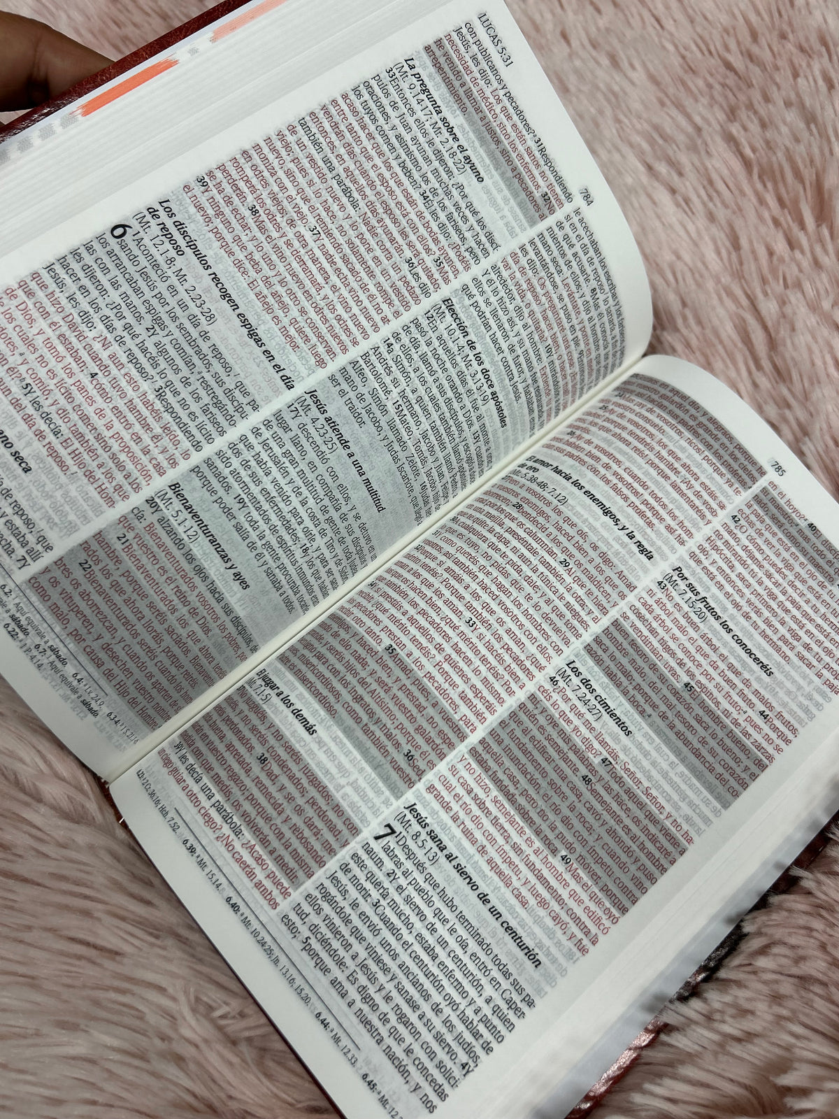 Biblia de promesas para jóvenes en tapa dura versión RV1960