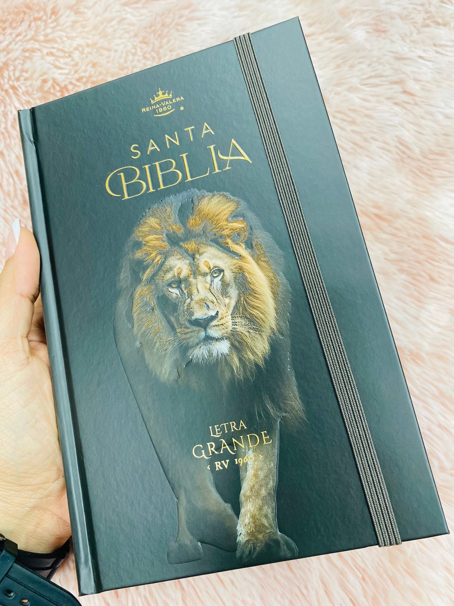 Biblia versión RV1960 de tapa dura diseño en relieve de letra grande 12 puntos con canto pintado, liga, palabras de Jesús en rojo con concordancia