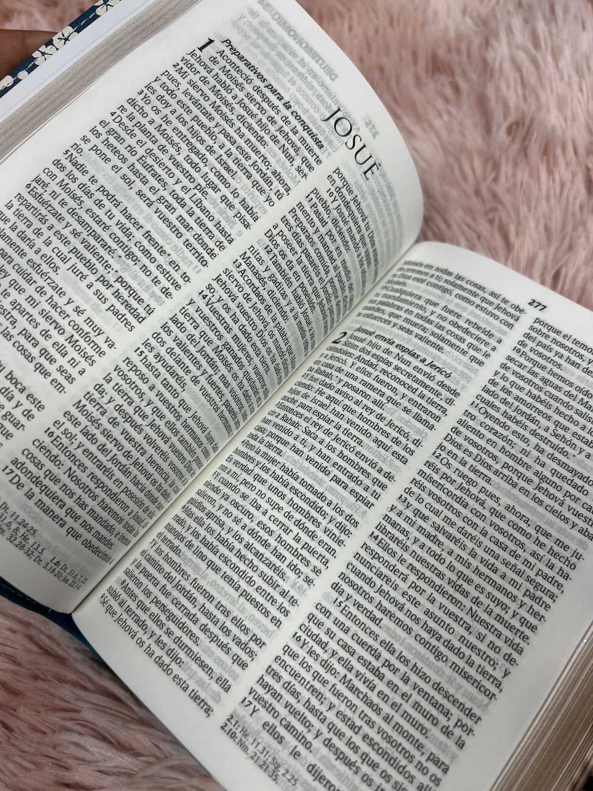 Biblia versión RV1960 letra grande 10 puntos tamaño compacta palabras de Jesús en rojo canto plateado y concordancia floreado morado