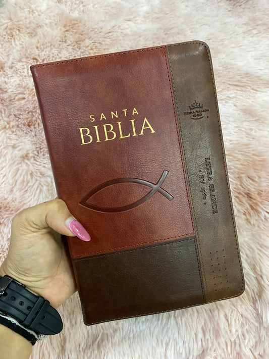 Biblia letra grande con cierre e índice versión RV1960 en símil piel con concordancia (tamaño manual)