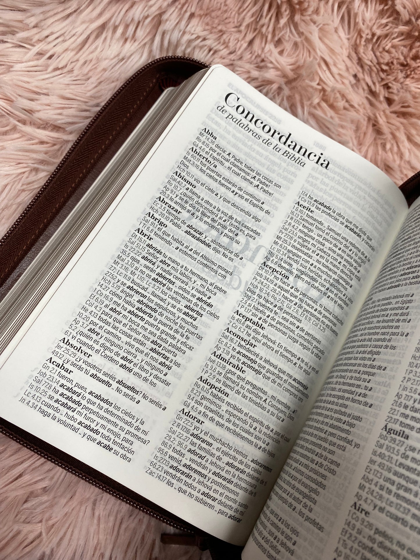 Biblia pequeña letra grande de 11 puntos con cierre y canto dorado versión RV1960 con concordancia