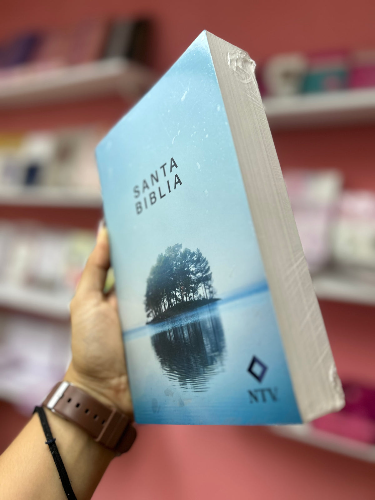 Biblias económicas tapa rústica papel imprenta versión NTV
