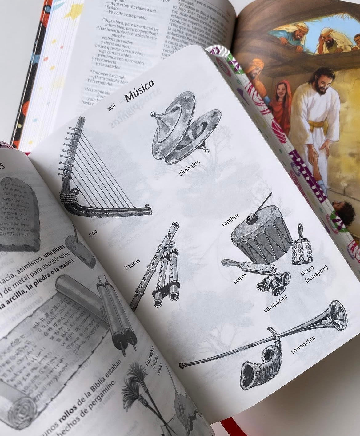 Biblia luz en mi camino versión NVI para jóvenes varón ilustrada letra mediana 8,5 puntos canto pintado símil piel tamaño compacto