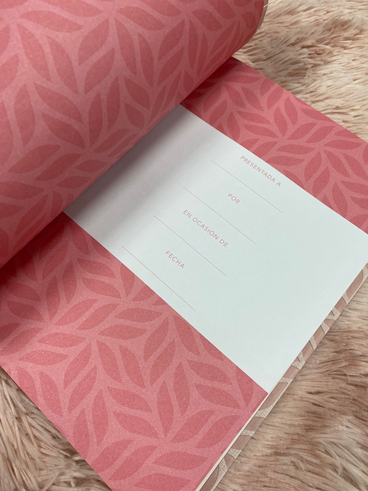 Biblia versión NTV de letra grande en símil piel