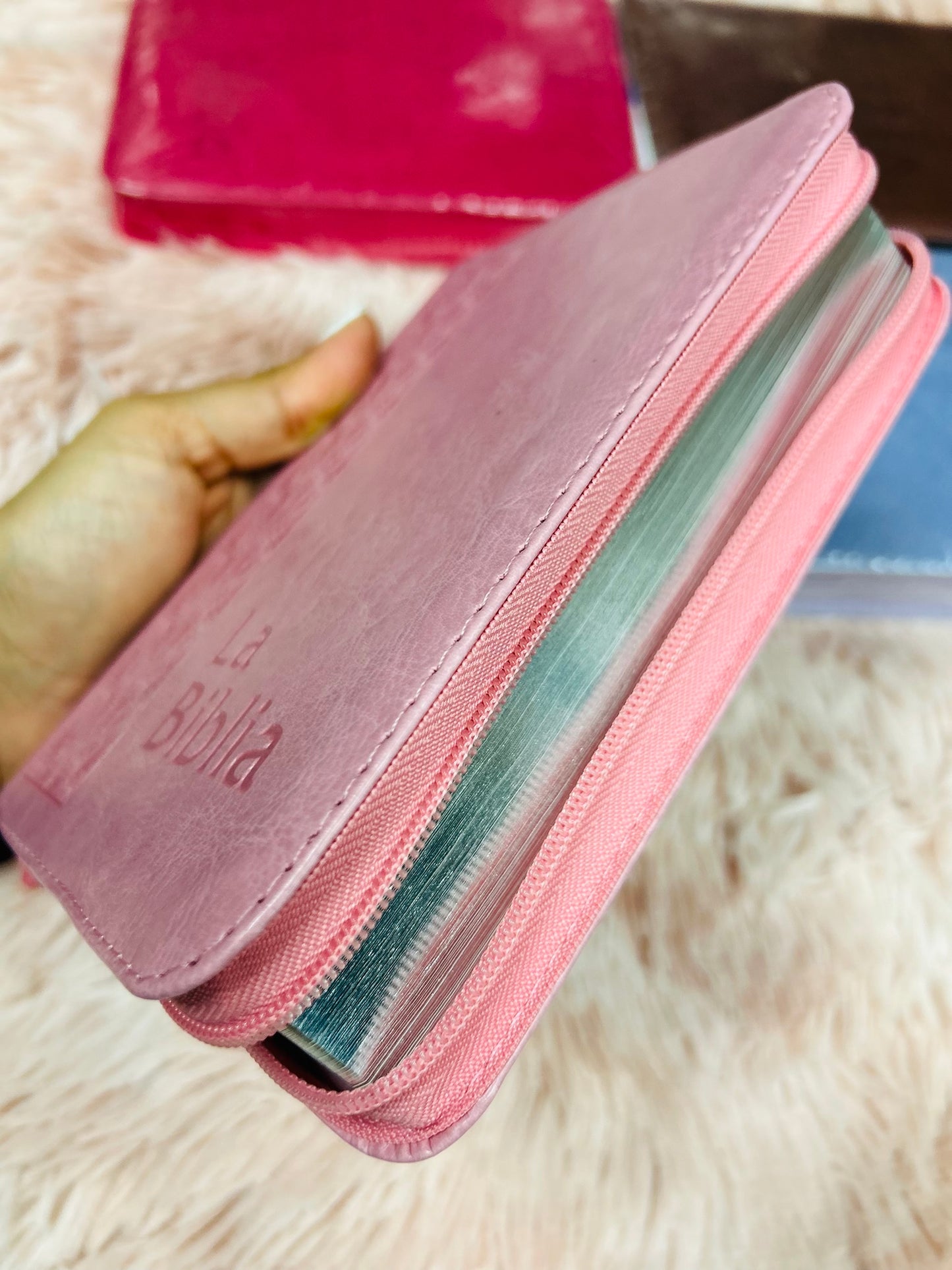 Biblia mediana tamaño compacta con cierre versión TLA letras grandes canto pintado