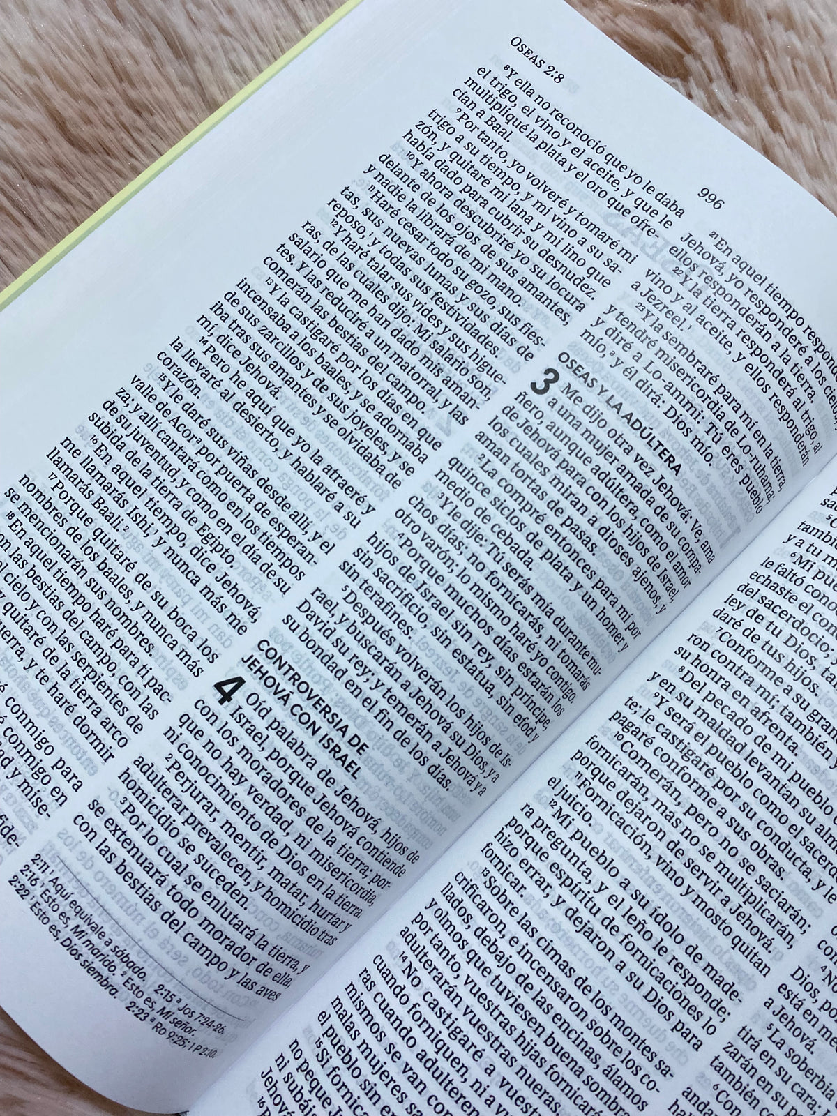 Biblia tapa dura letra grande versión RV1960 con concordancia papel blanco