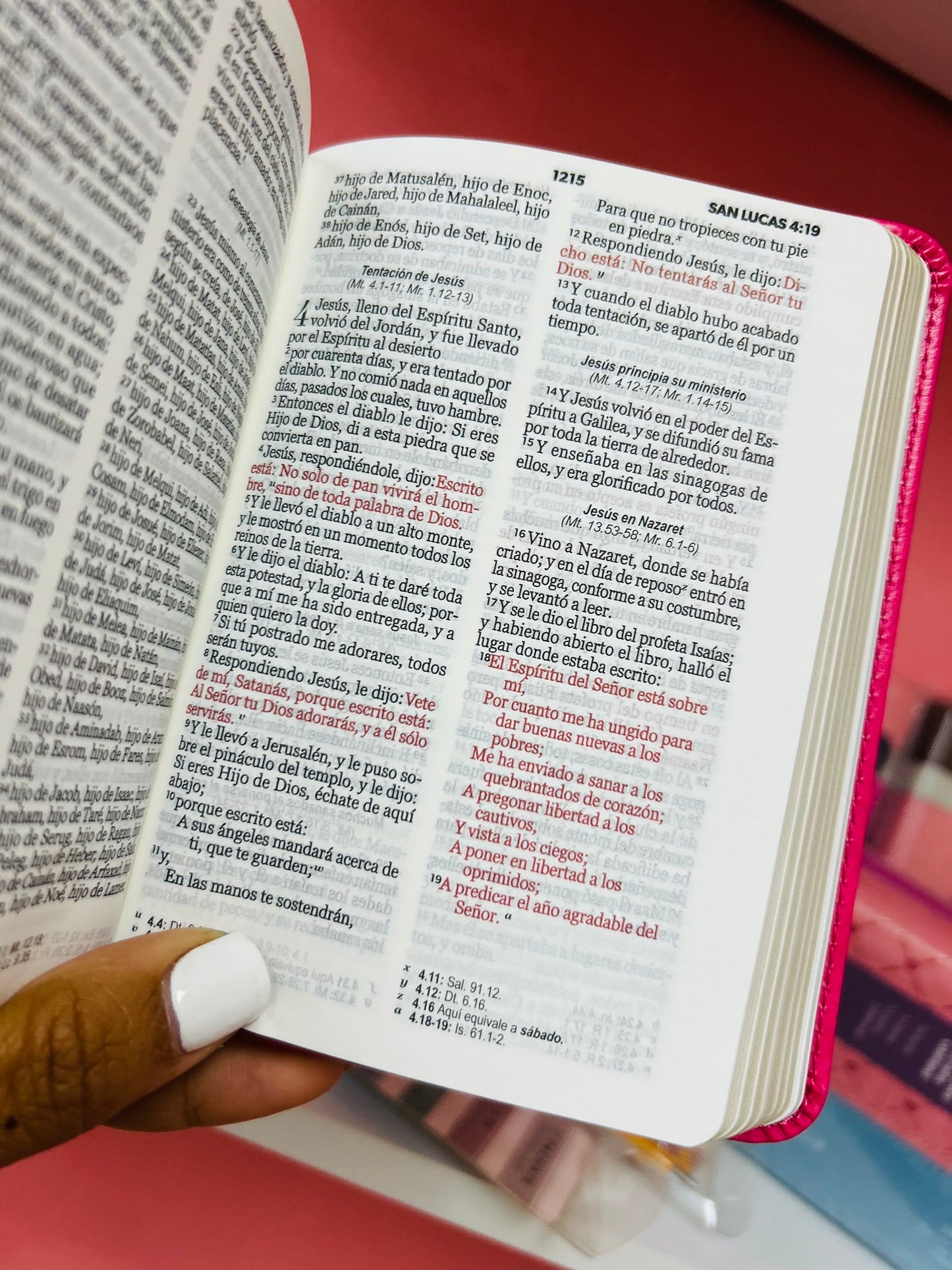 Biblia de bolsillo con canto dorado símil piel letra mediana 8 puntos versión RV60