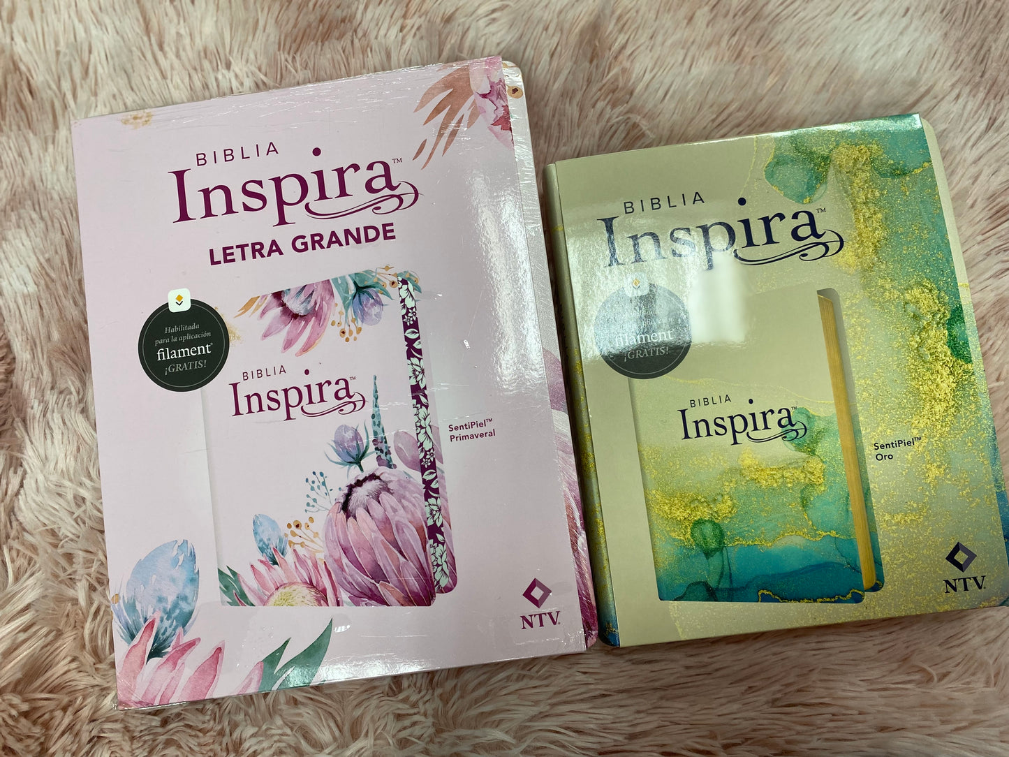 Biblia inspira artística versión NTV de letra grande