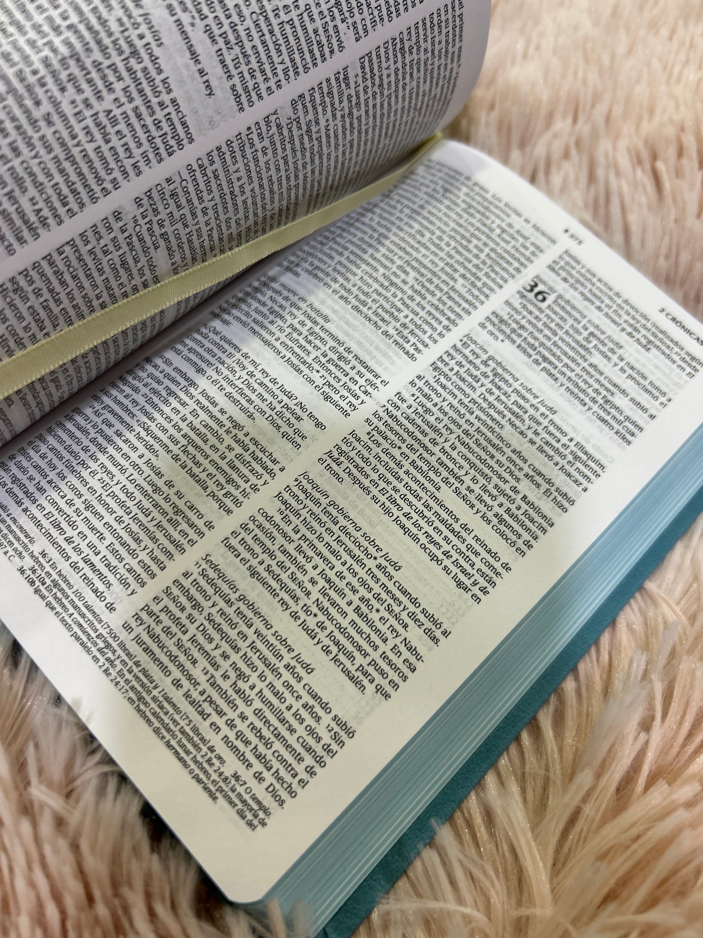 Biblia tamaño compacto de letra mediana semi piel con canto pintado versión NTV