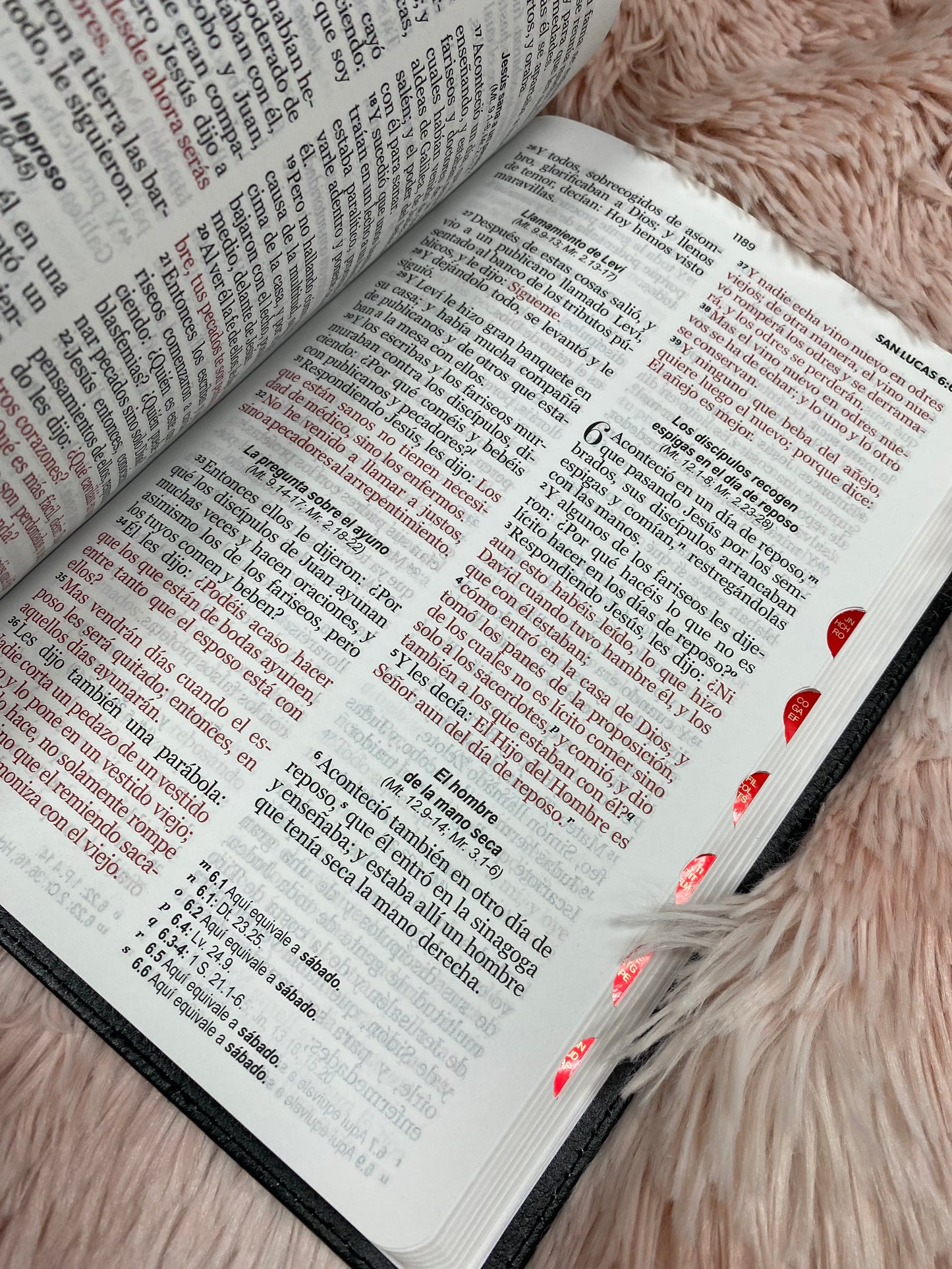 Biblia letra grande 12 puntos tapa flexible versión RV1960 con índice y con concordancia