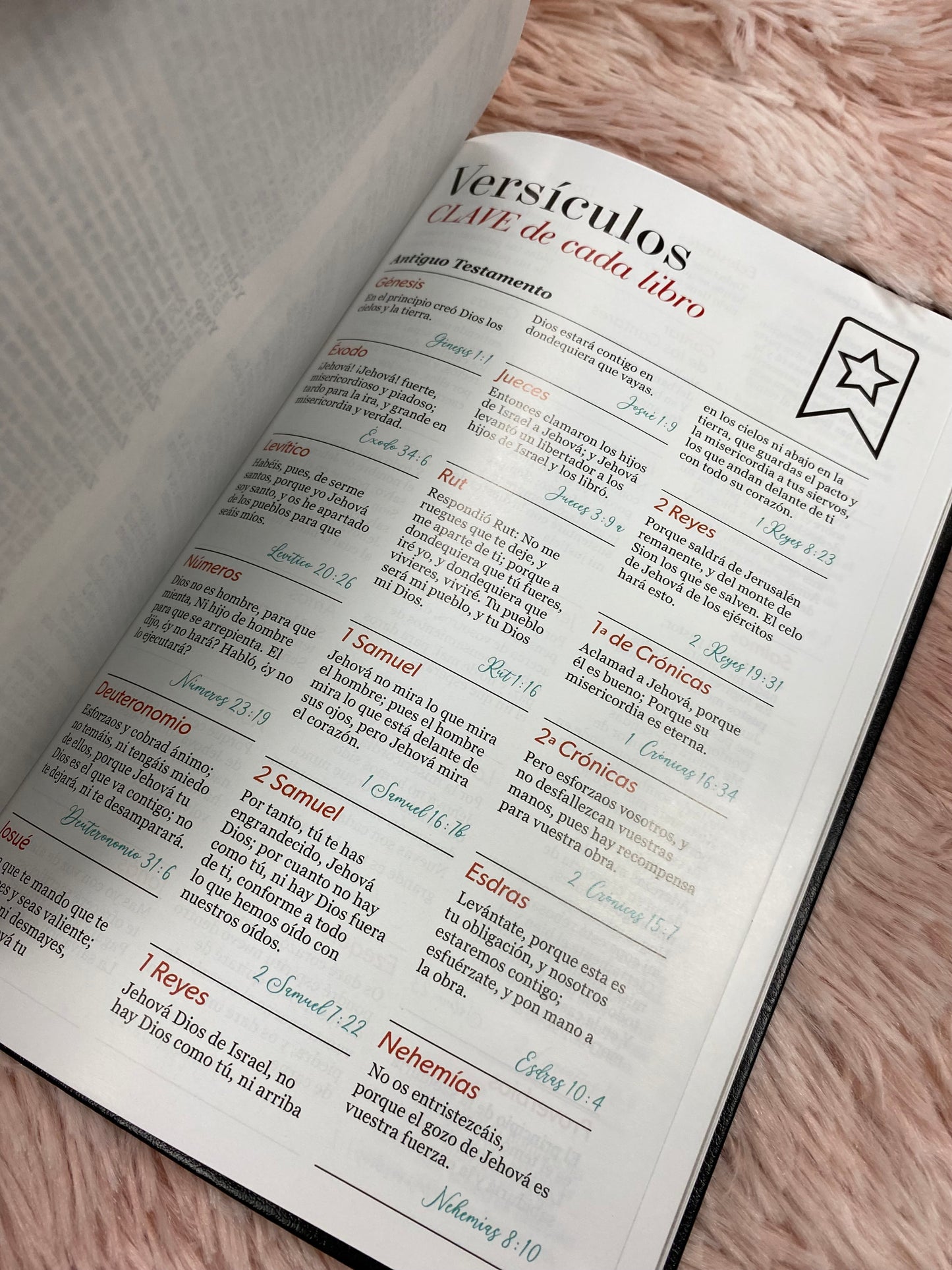 Biblia versión RV1960 en imitación piel de alta calidad letra grande 11,5 puntos canto pintado con concordancia y palabras de Jesús en rojo