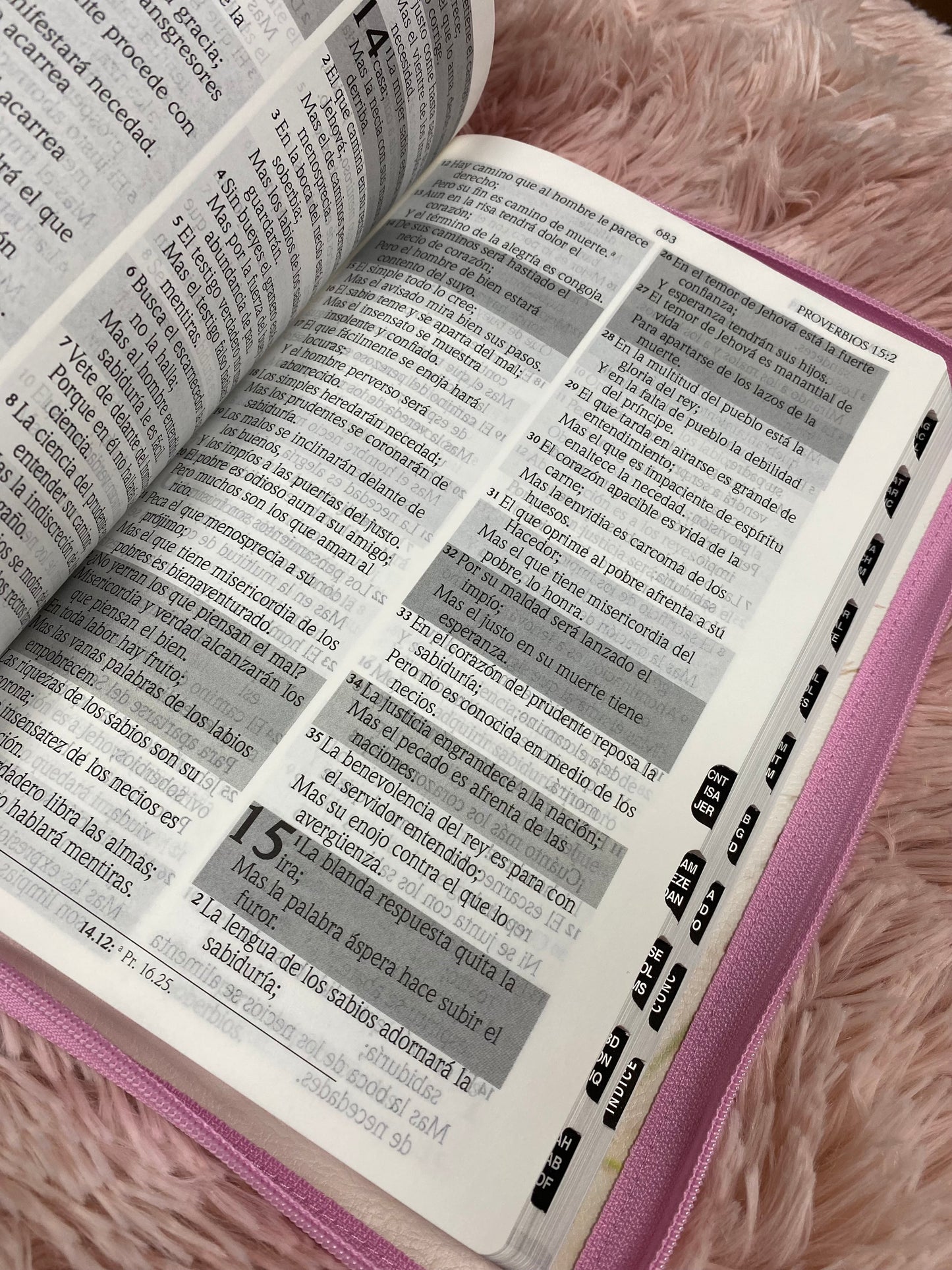 Biblia de promesas para la mujer letra gigante 13 puntos con cierre e índice palabras de Jesús en rojo